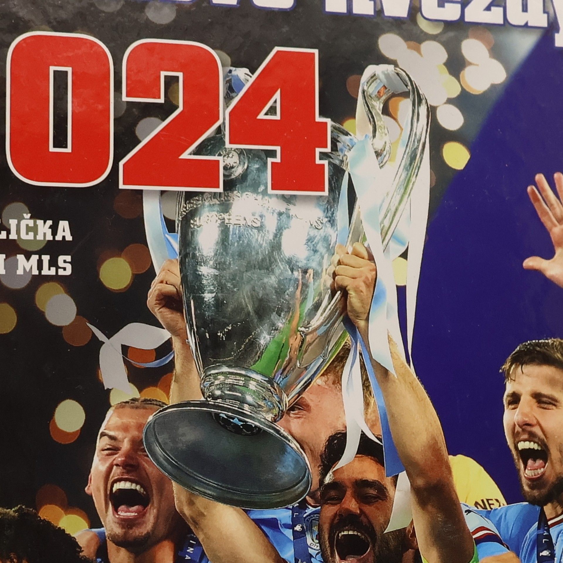 Jan Palička Fotbalové hvězdy 2024