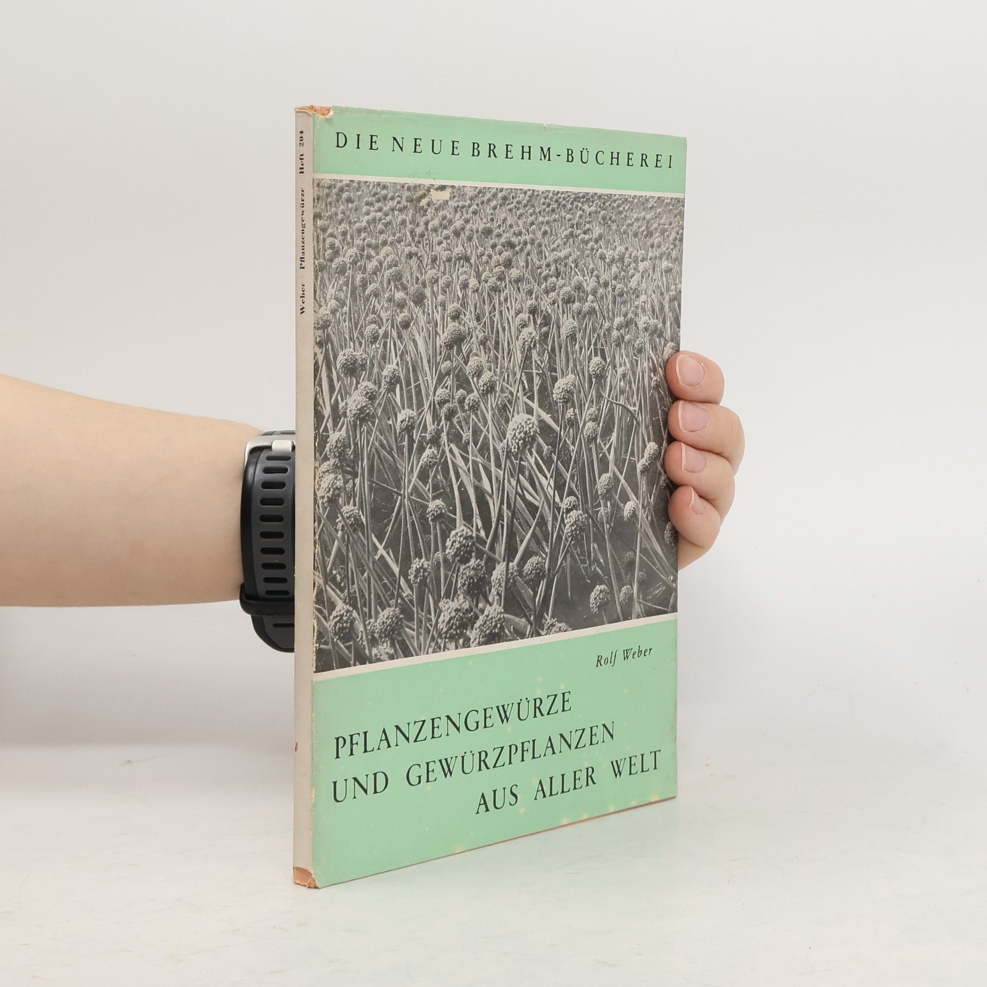 Pflanzengewürze und Gewürzpflanzen aus aller Welt