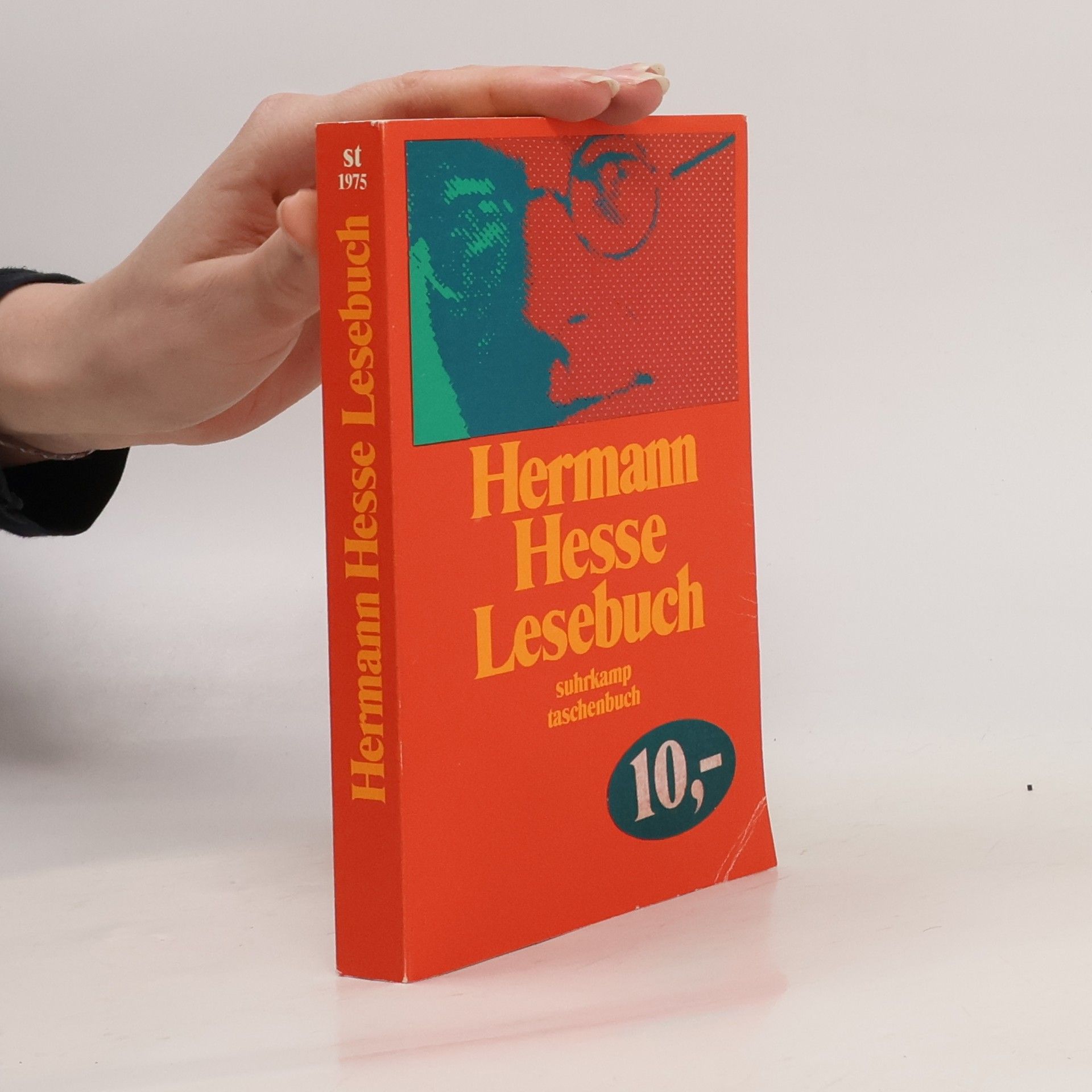 Hermann Hesse Lesebuch