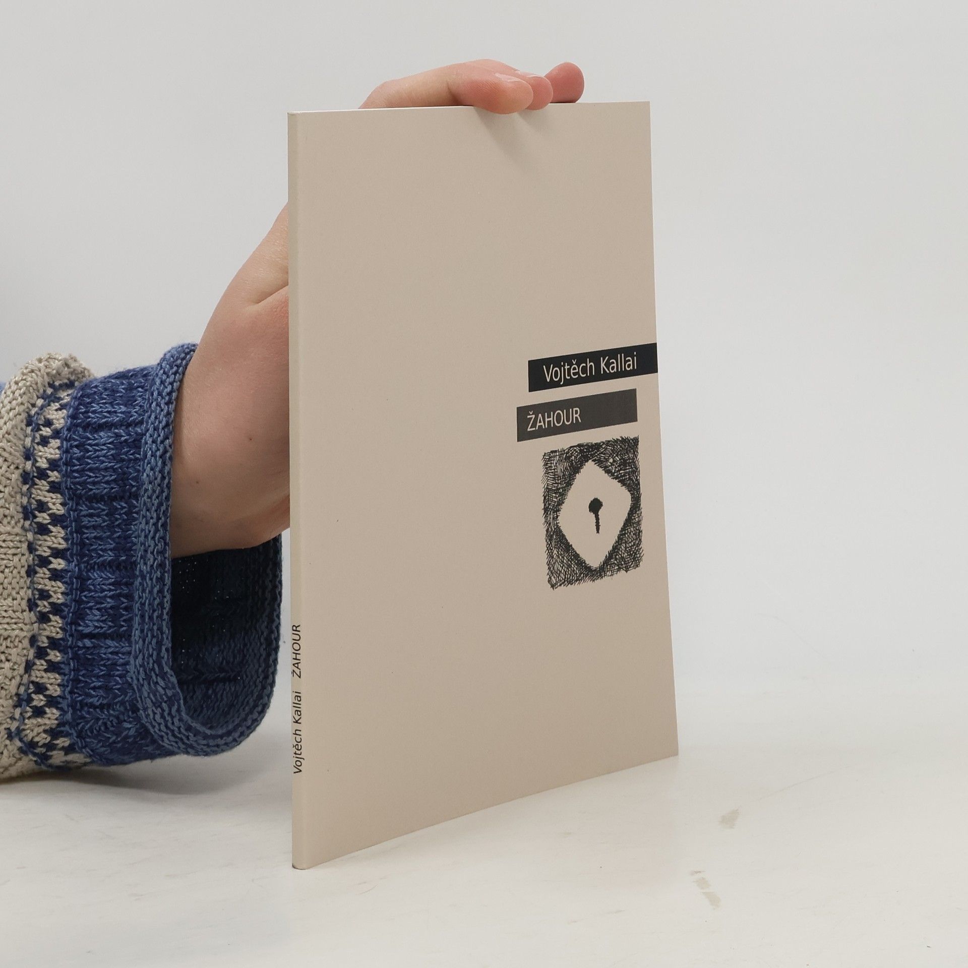 Vojtěch Tomáš David Kallai Žahour