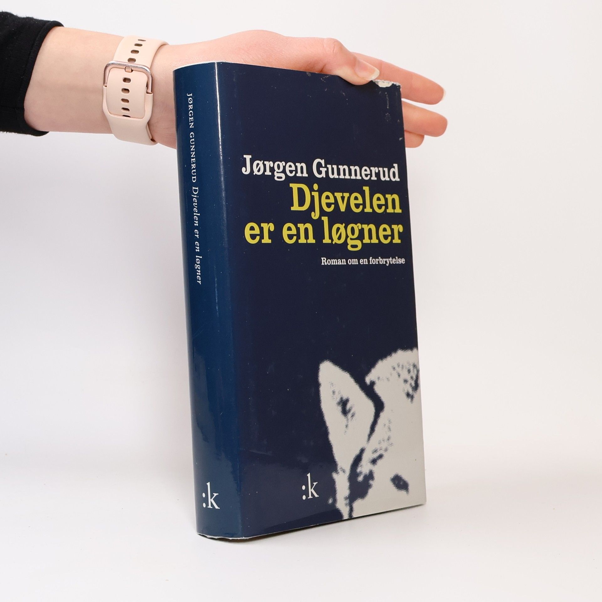 Jørgen Gunnerud Djevelen er en løgner