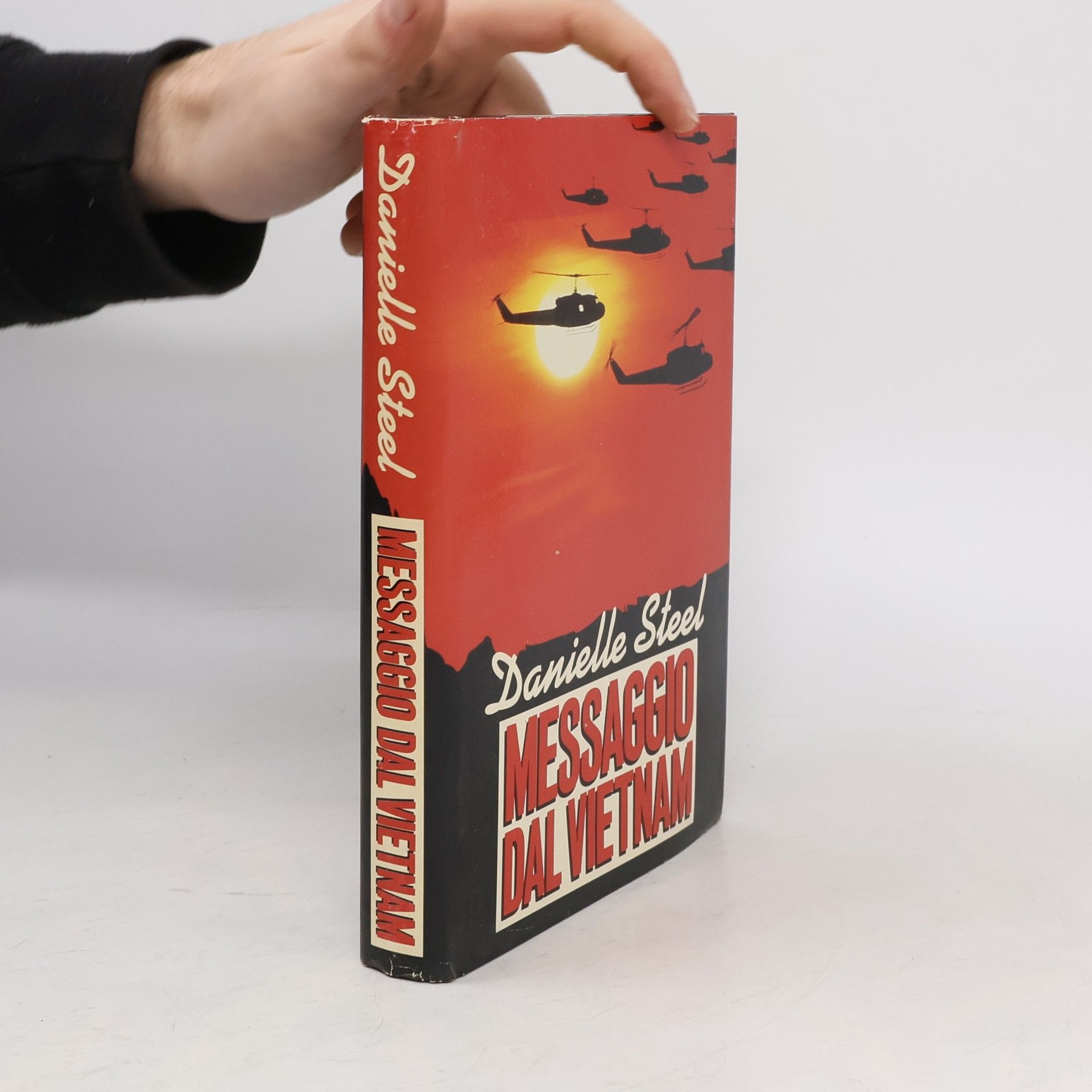 Danielle Steel Pandora: Messaggio dal Vietnam