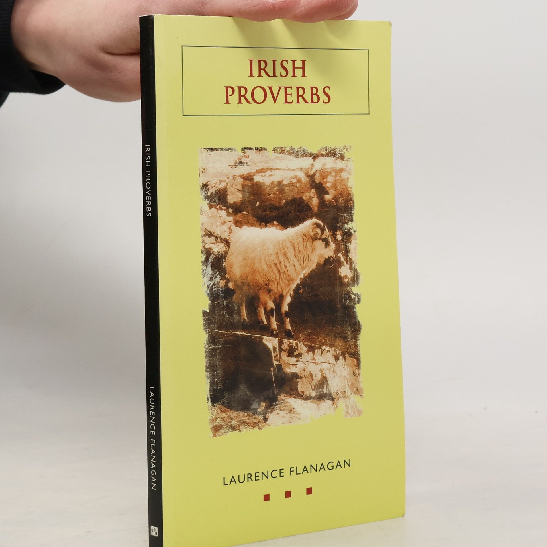 Laurence Flanagan Irish Proverbs
