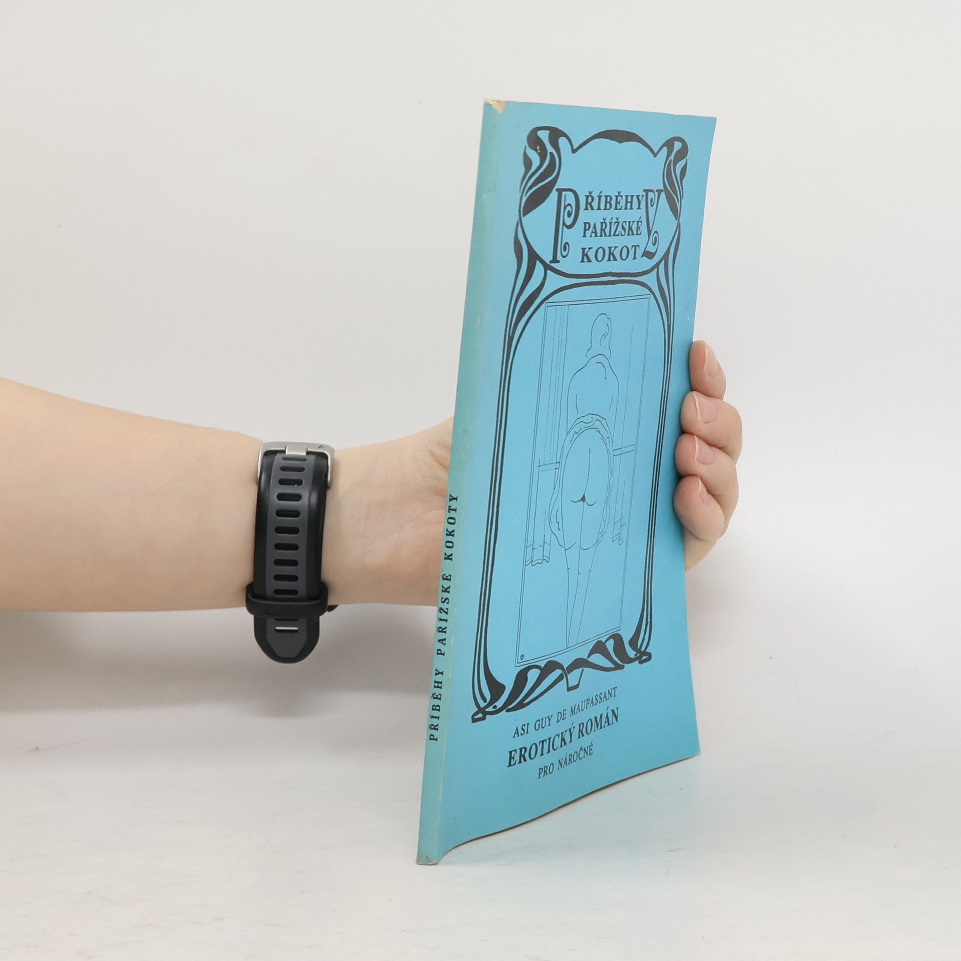 Guy de Maupassant Příběhy pařížské kokoty