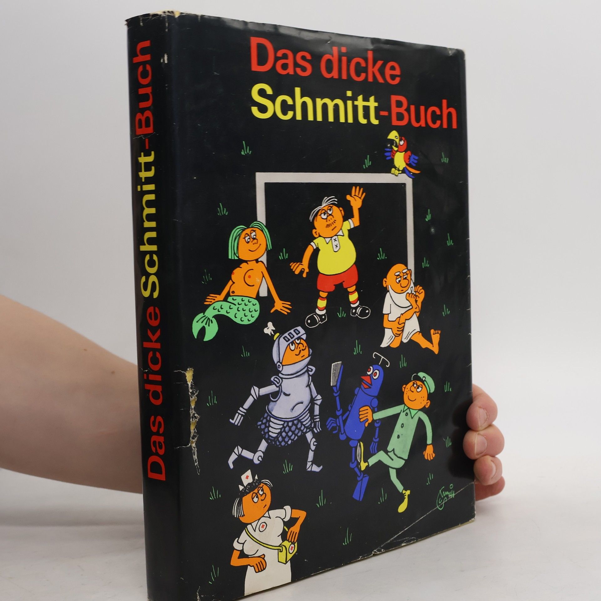 Auteurscollectief Das dicke Schmitt-Buch