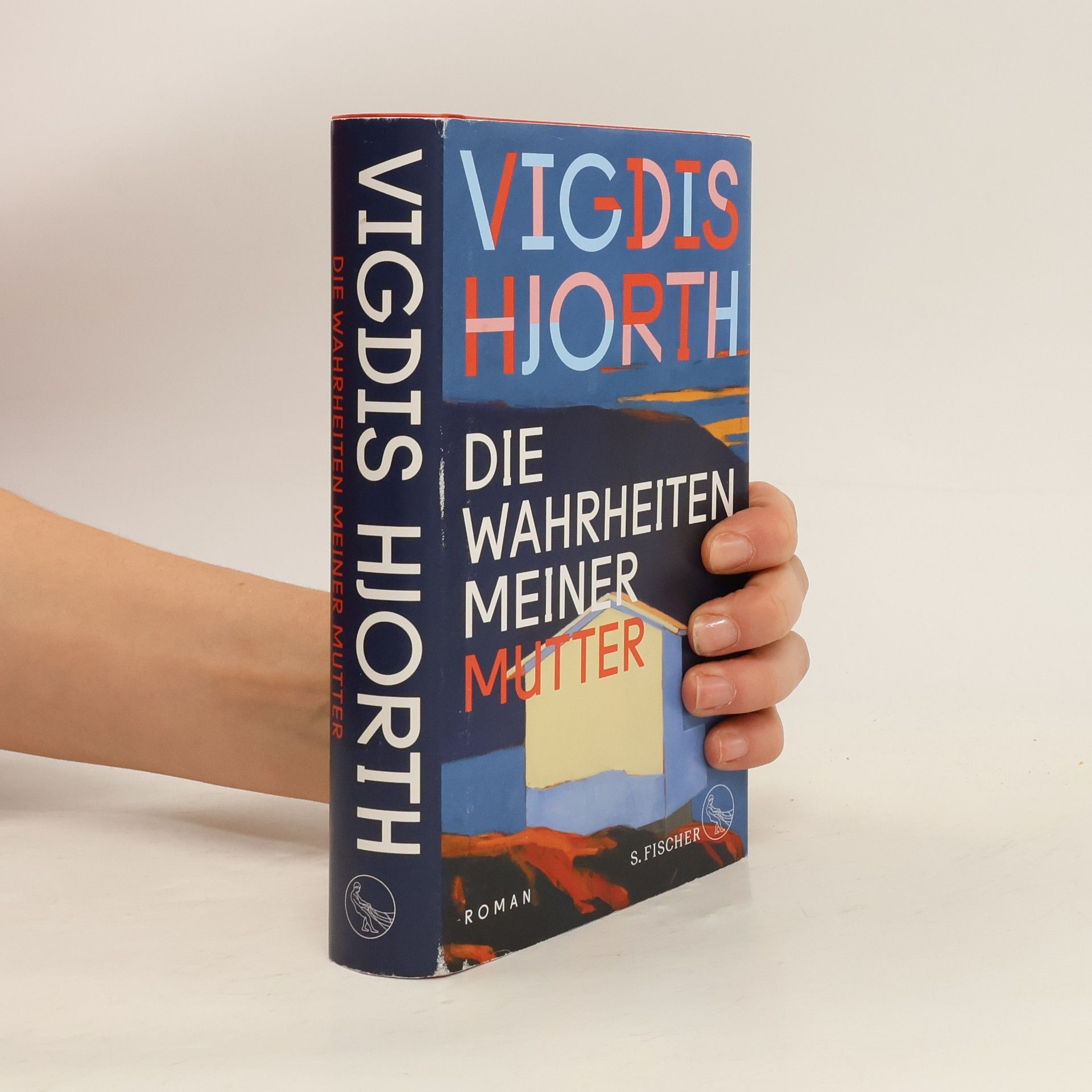 Vigdis Hjorth Die Wahrheiten meiner Mutter