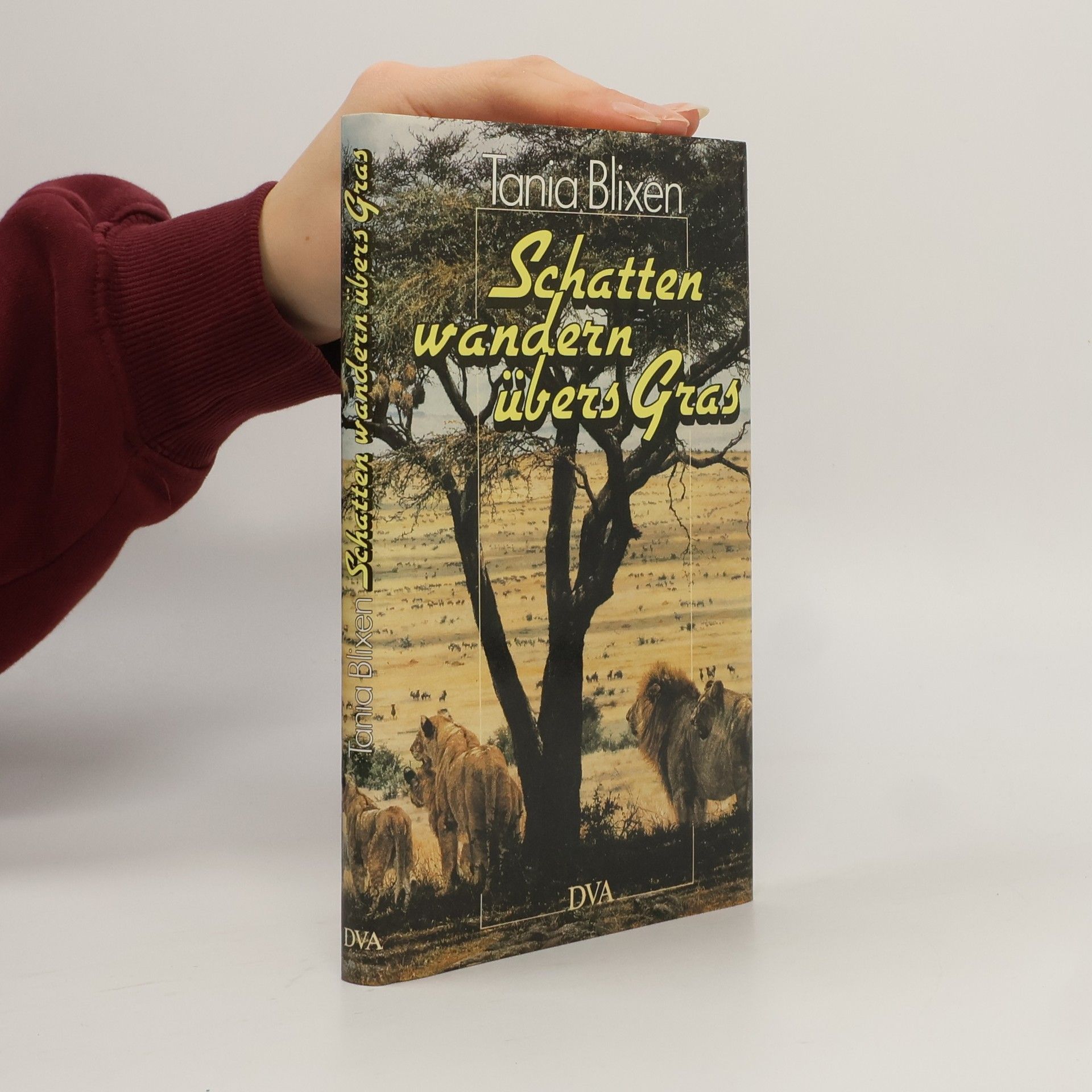 Schatten wandern übers Gras