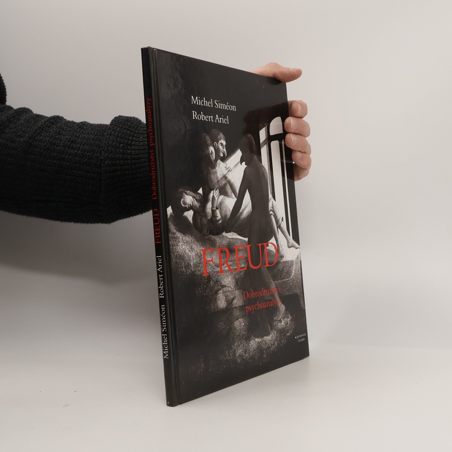 Michel Siméon Freud: Dobrodružství psychoanalýzy