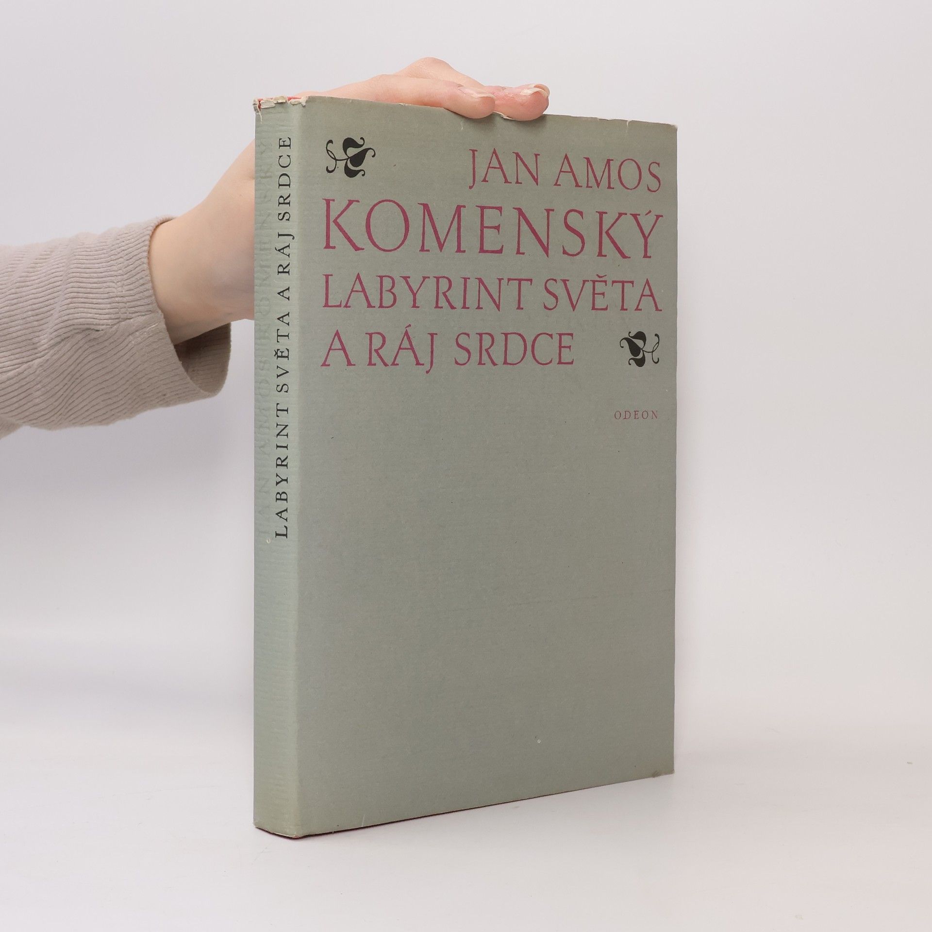 Jan Amos Komenský Labyrint světa a ráj srdce