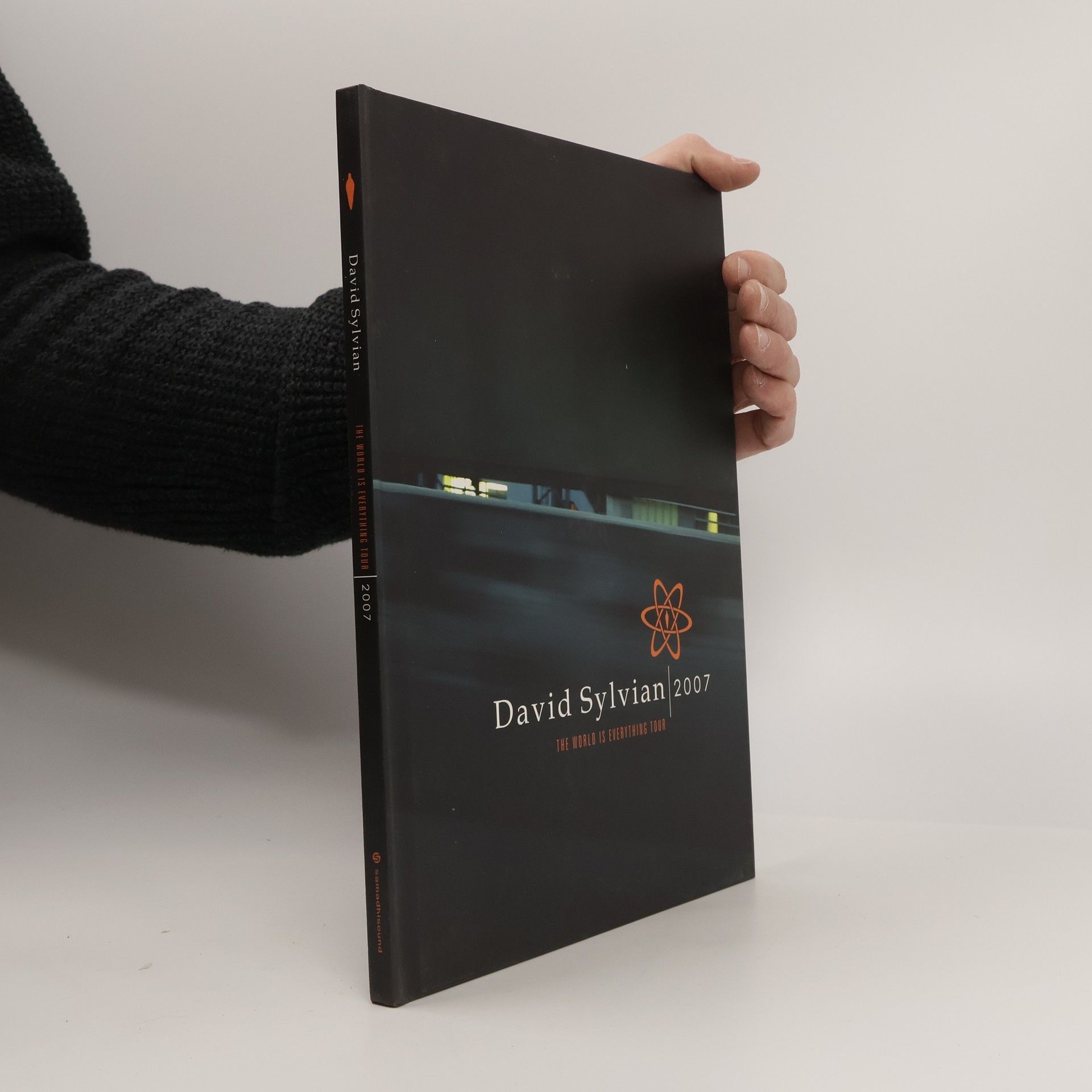 David Sylvian David Sylvian