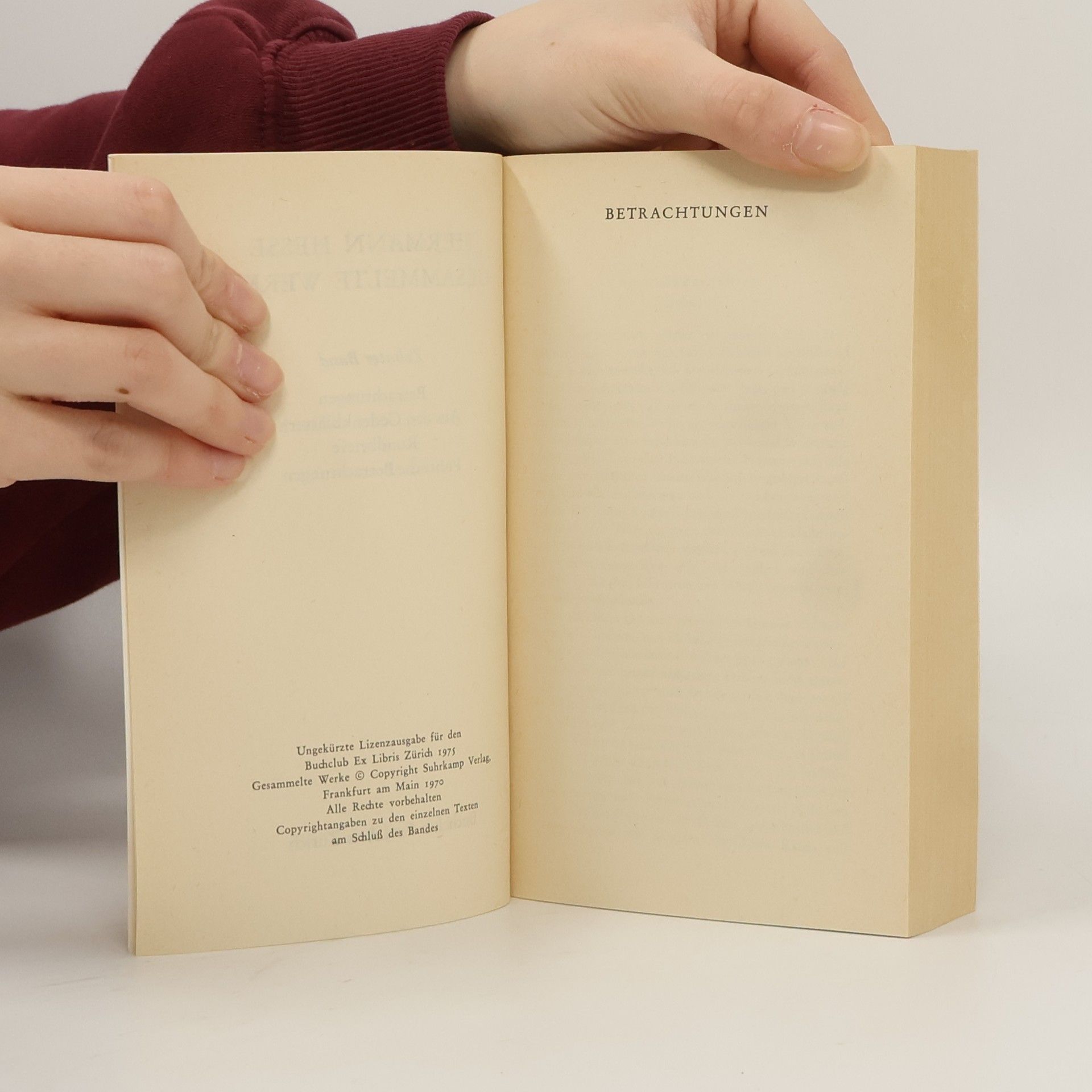 Hermann Hesse Gesammelte Werke 10: Gedenkblätter, Betrachtungen