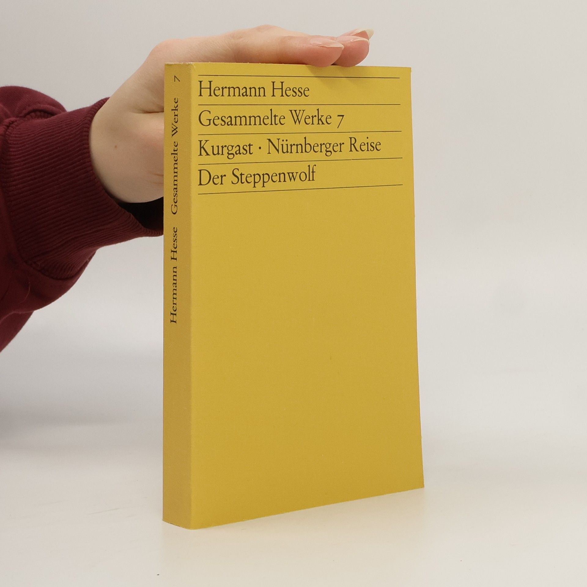 Hermann Hesse Gesammelte Werke 7