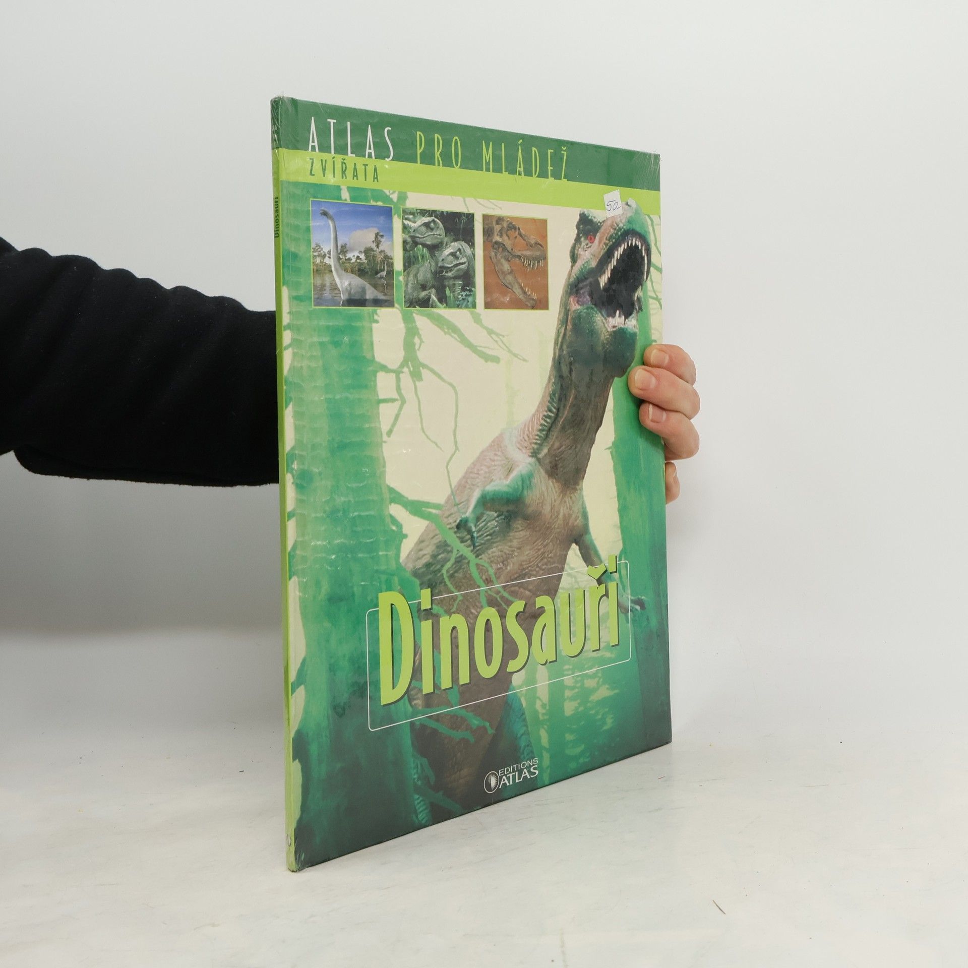 Autorenkollektiv Dinosauři. Atlas pro mládež