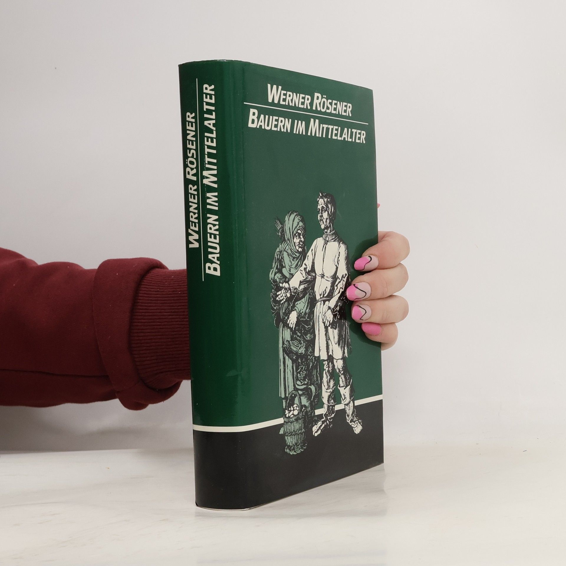 Werner Rösener Bauern im Mittelalter
