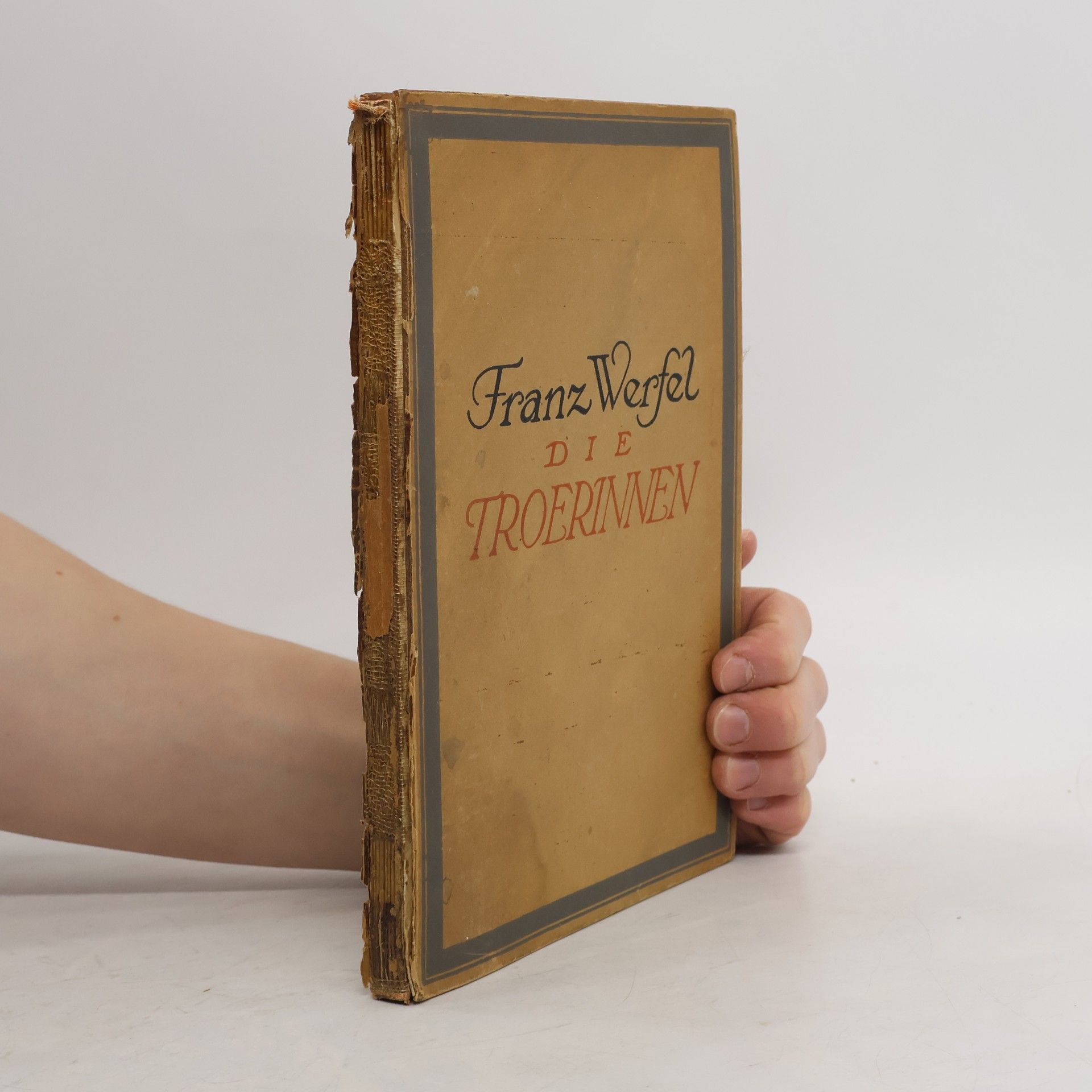 Franz Werfel Die Troerinnen