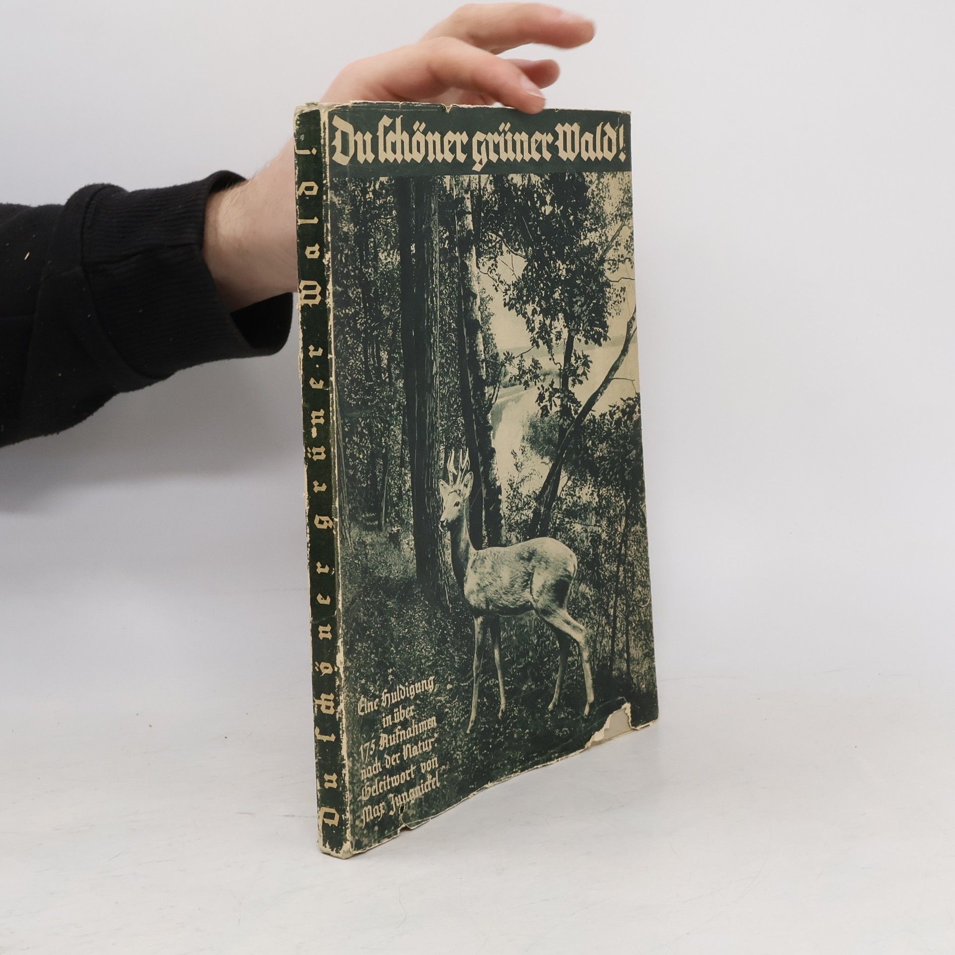 Reinhold Pratsch Du schöner, grüner Wald!