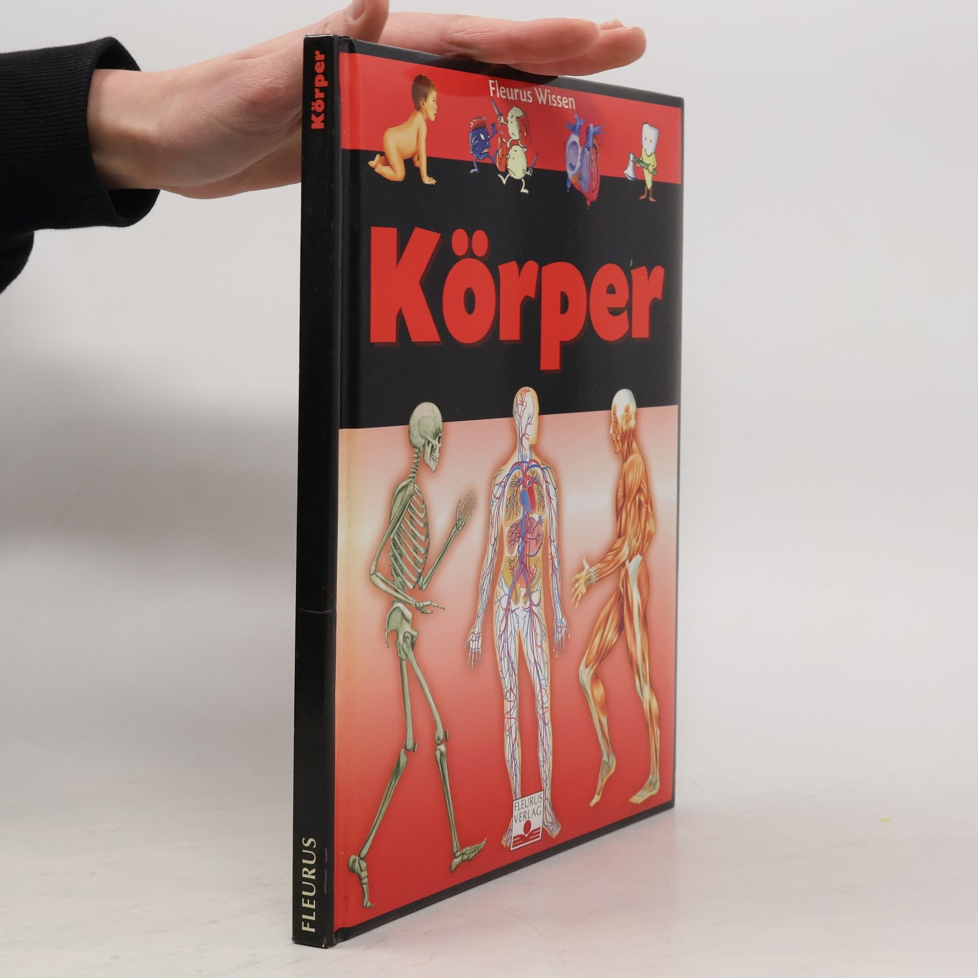 Agnes Vandewiel Körper