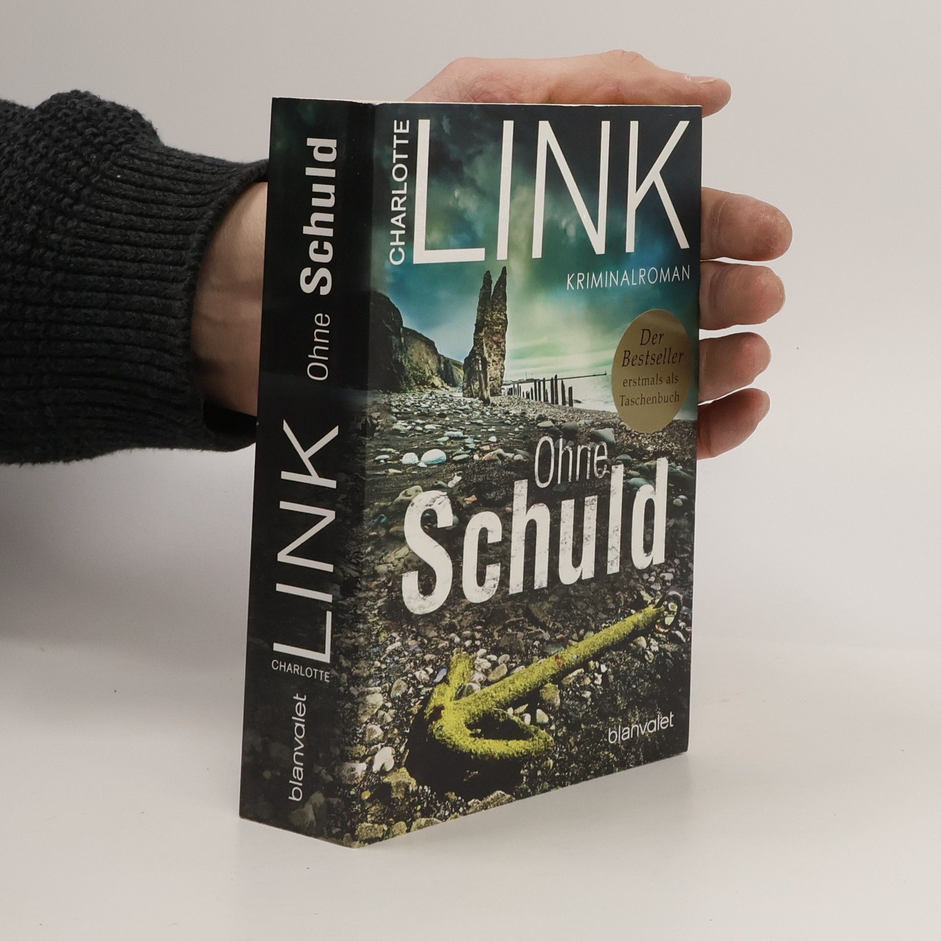 Charlotte Link Ohne Schuld