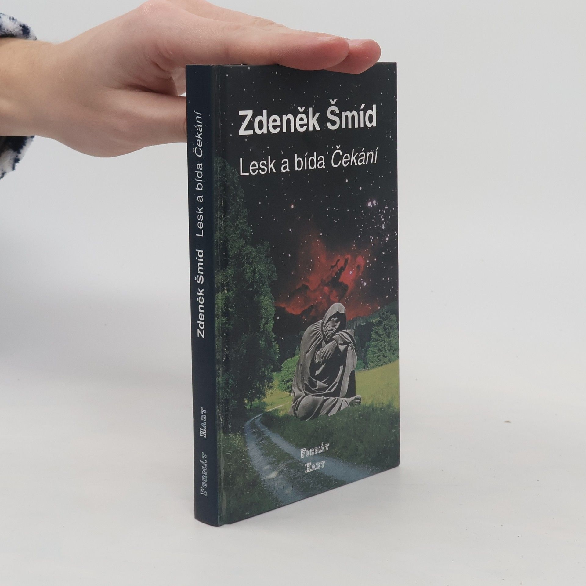 Zdeněk Šmíd Lesk a bída Čekání