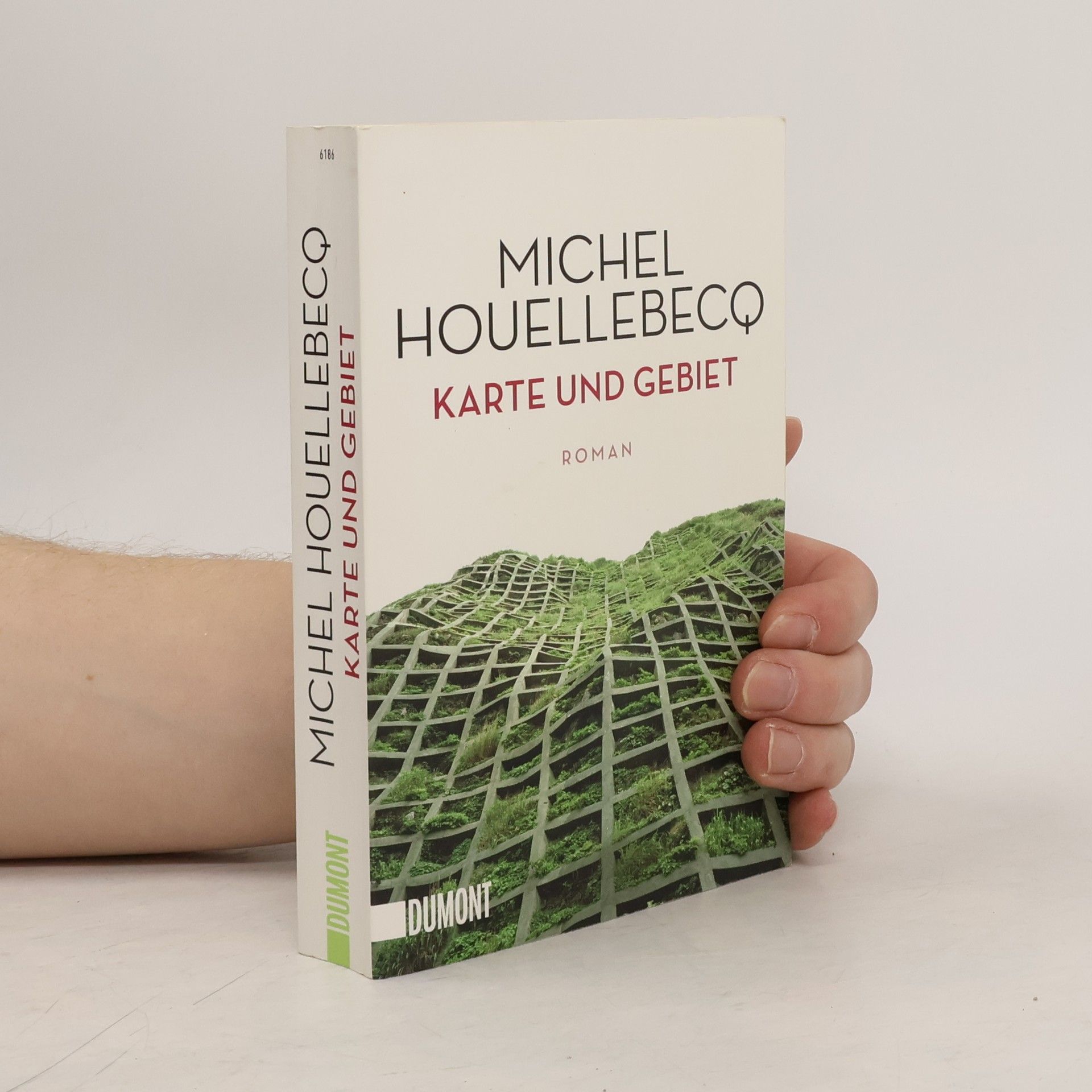 Michel Houellebecq Karte und Gebiet