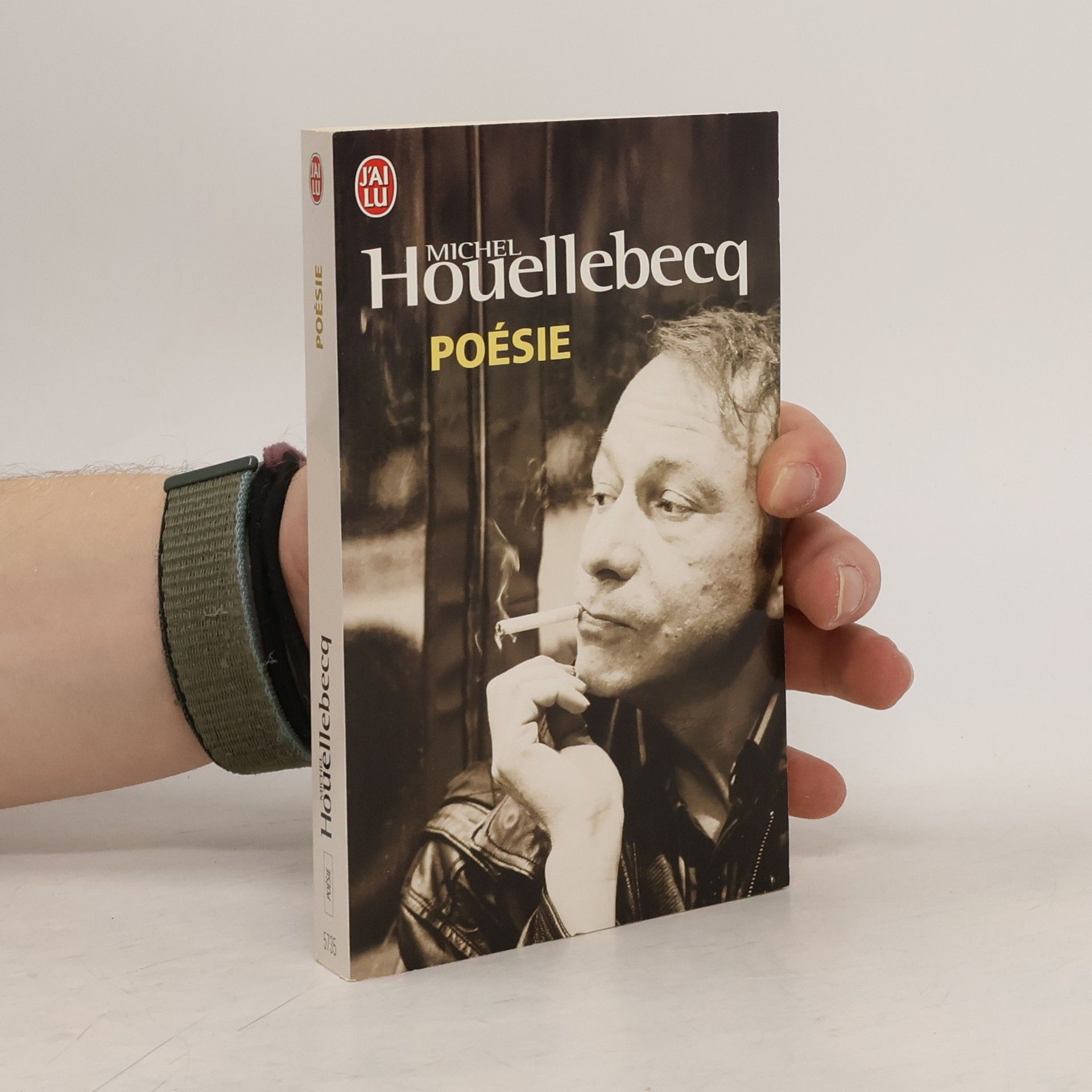 Michel Houellebecq Poésie
