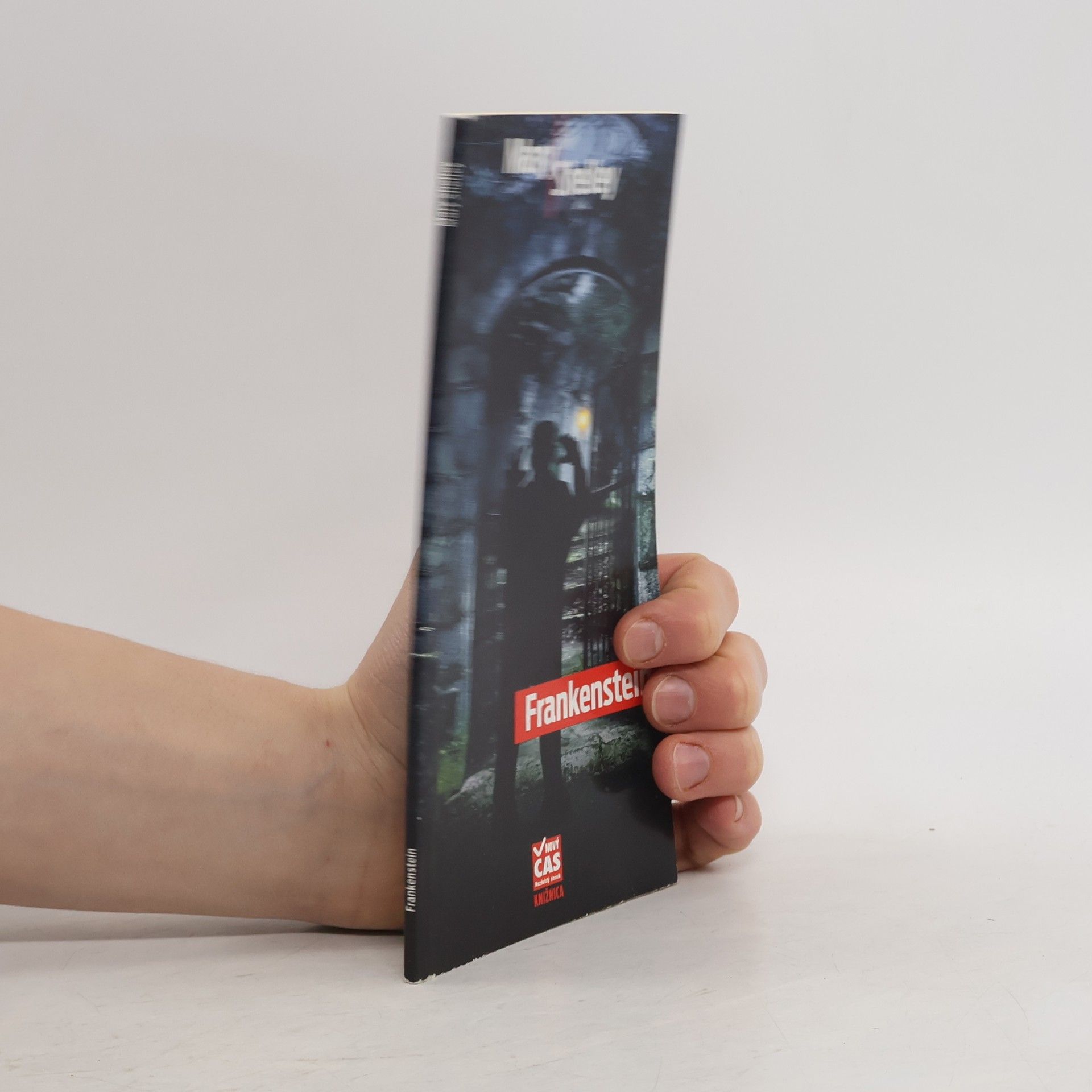 Mary Shelley Frankenstein