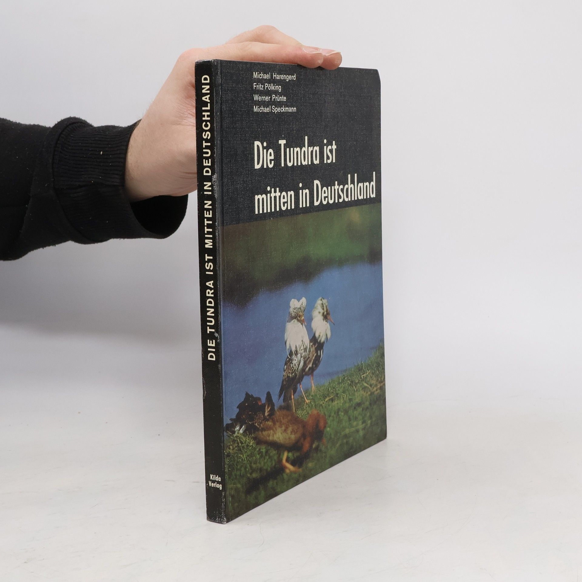 Collectif d'auteurs Die Tundra ist mitten in Deutschland