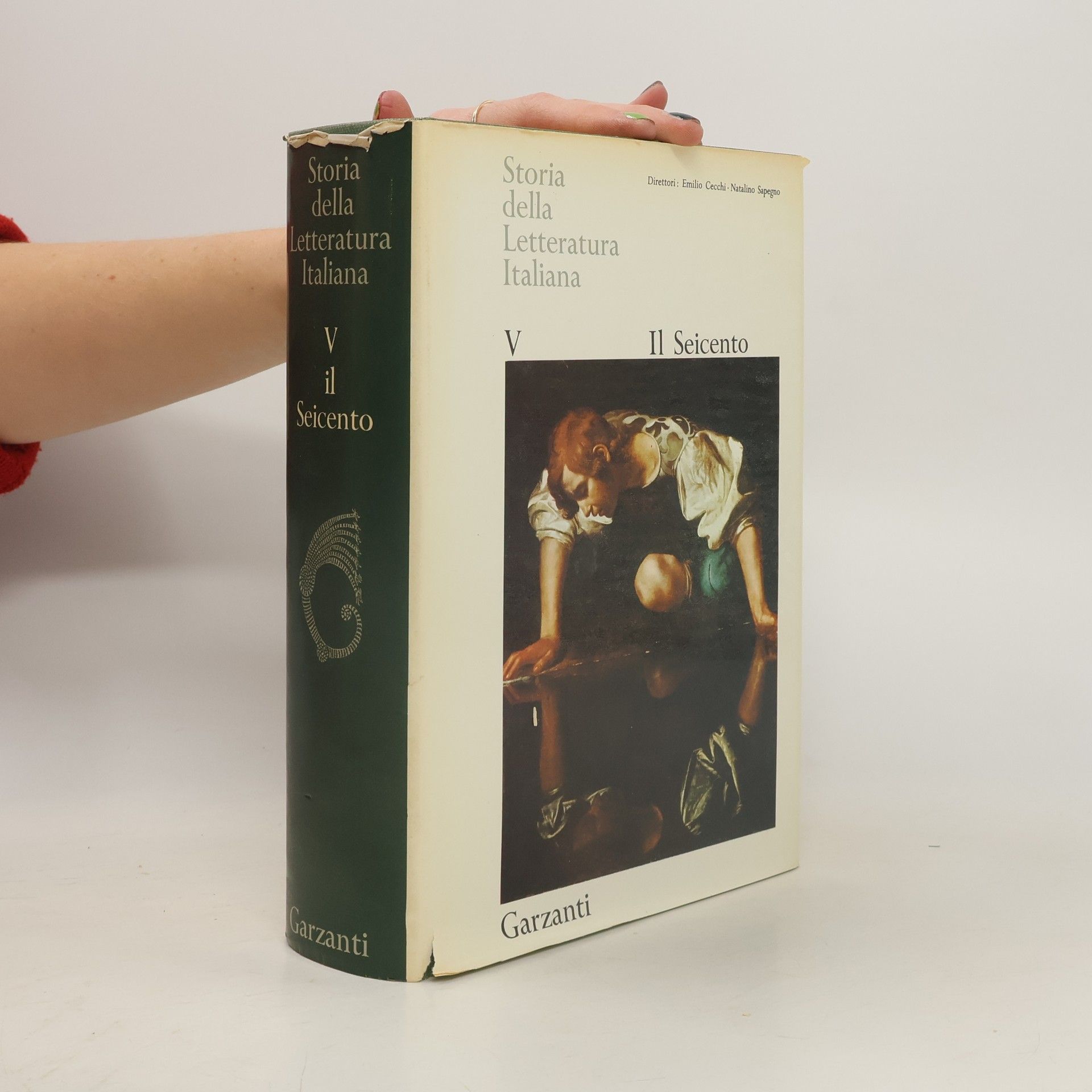 Autorenkollektiv Storia della Letteratura Italiana V