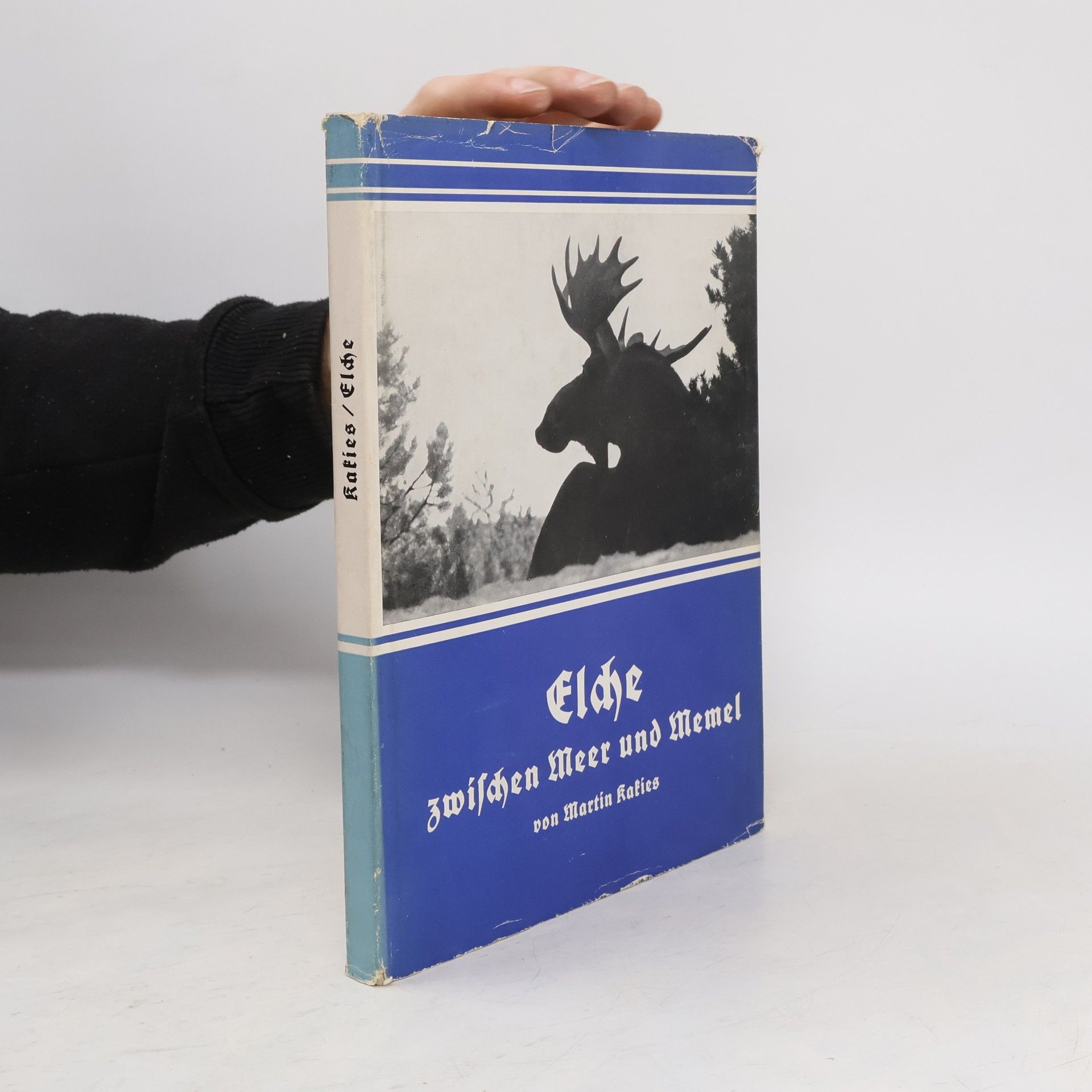 Elche zwischen Meer und Memel