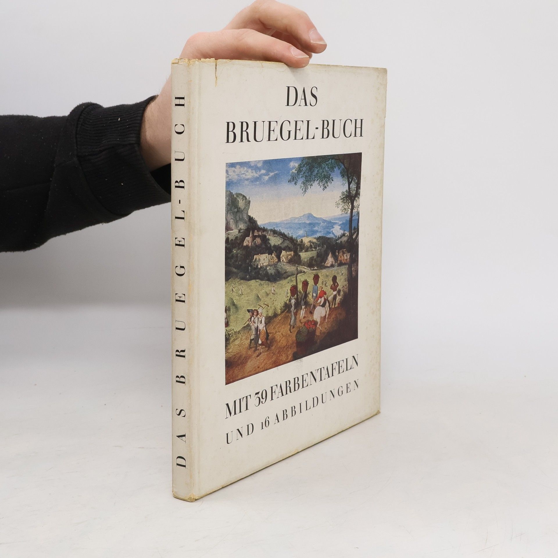 Gustav Glück Das Bruegel-Buch mit 39 Farbentafeln und 16 einfarbigen Abbildungen