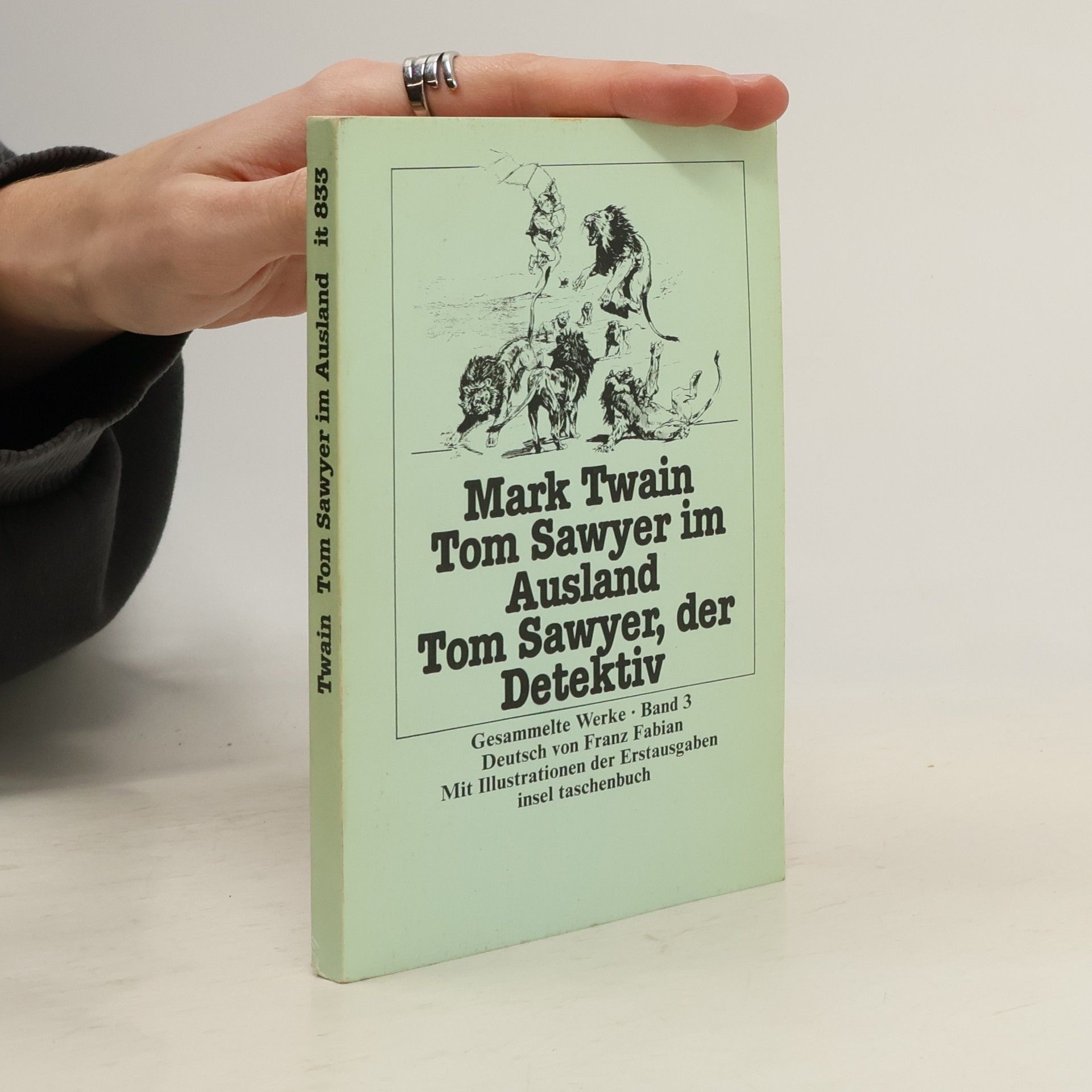 Mark Twain Tom Sawyer im Ausland. Tom Sawyer, der Detektiv