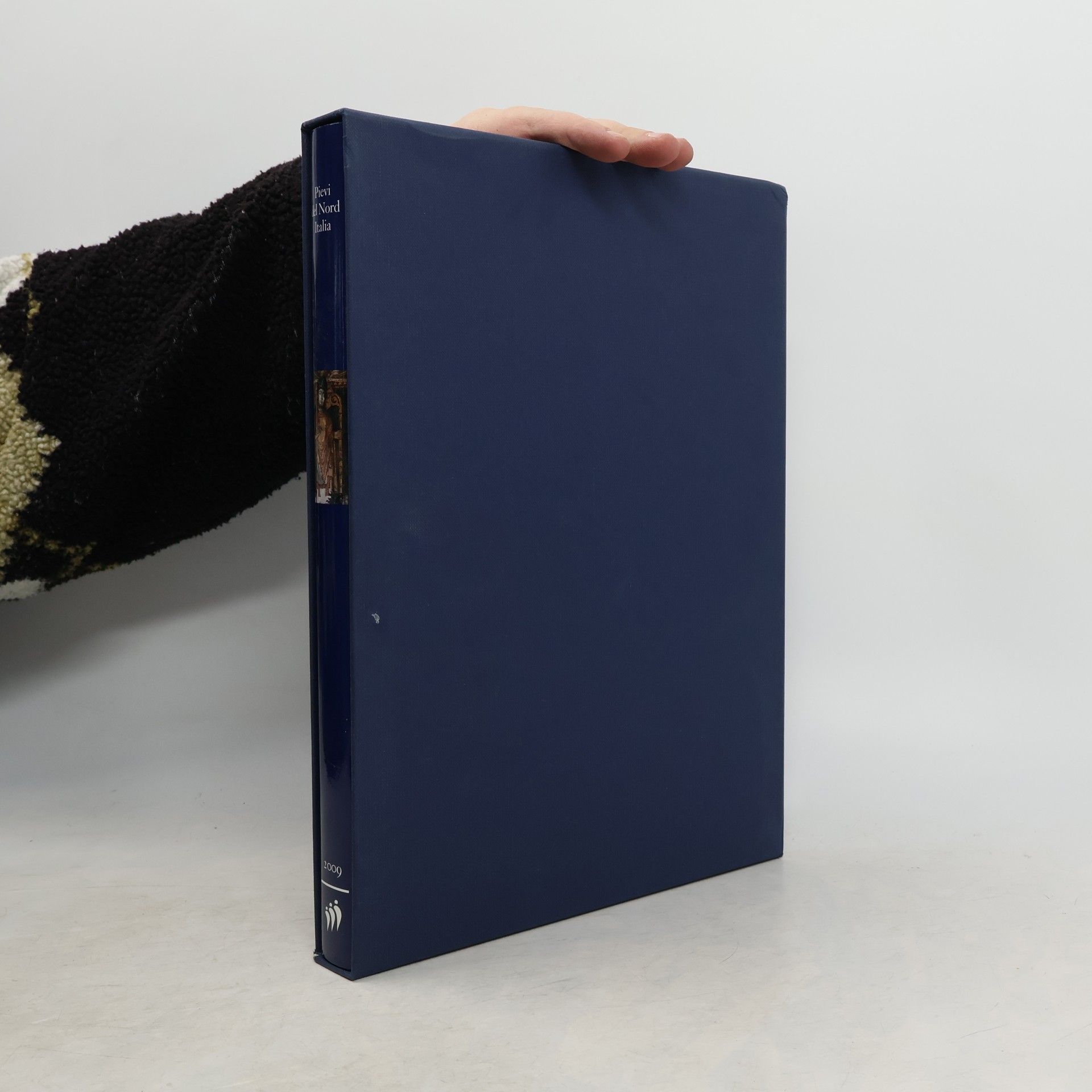 Renata Salvarani Pievi del Nord Italia : Cristianesimo, istituzioni, territorio