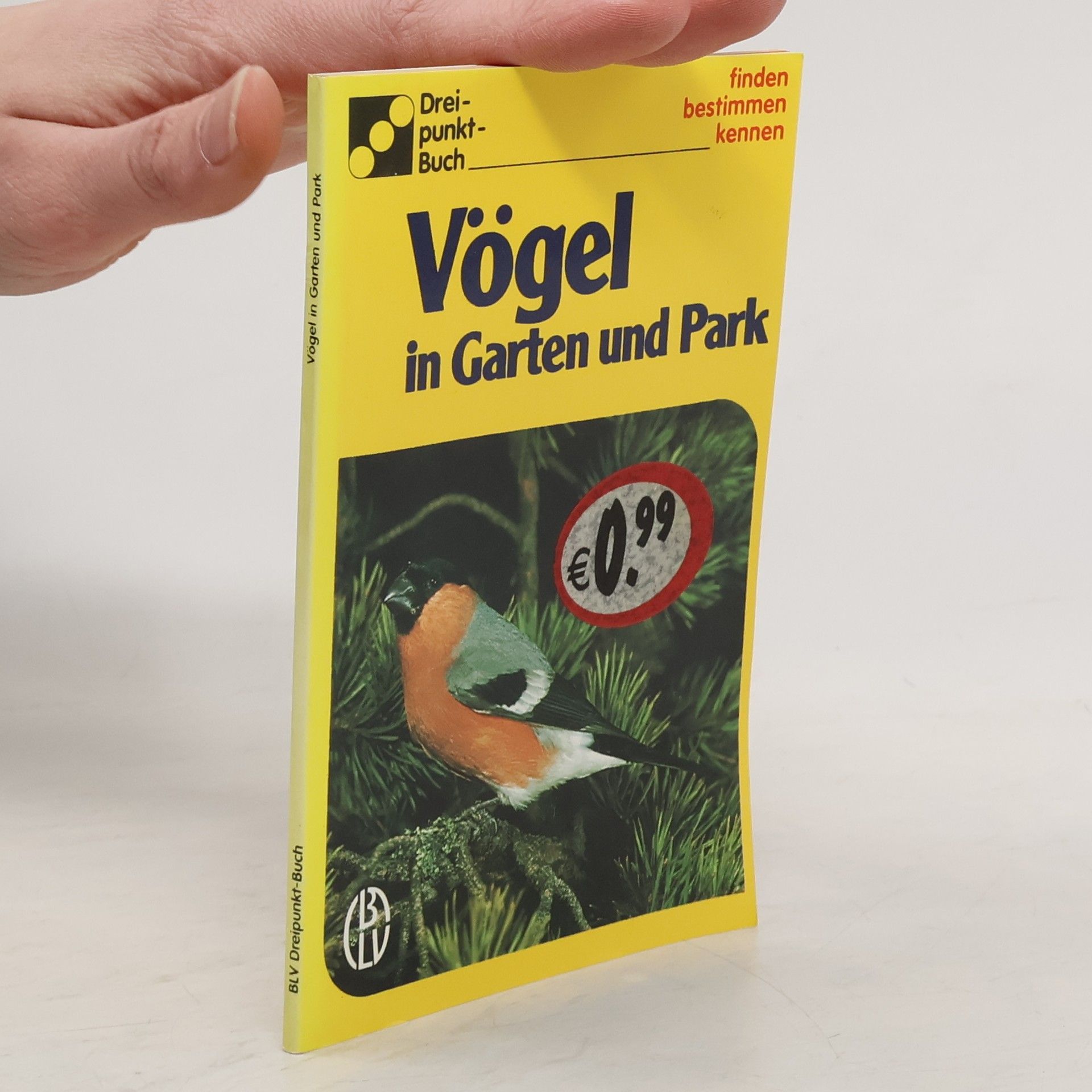 Autorenkollektiv Vögel in Garten und Park
