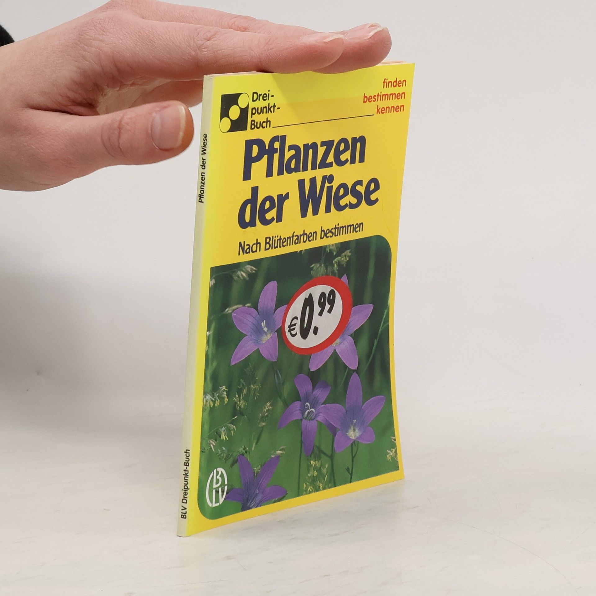 Alfred Handel Pflanzen der Wiese