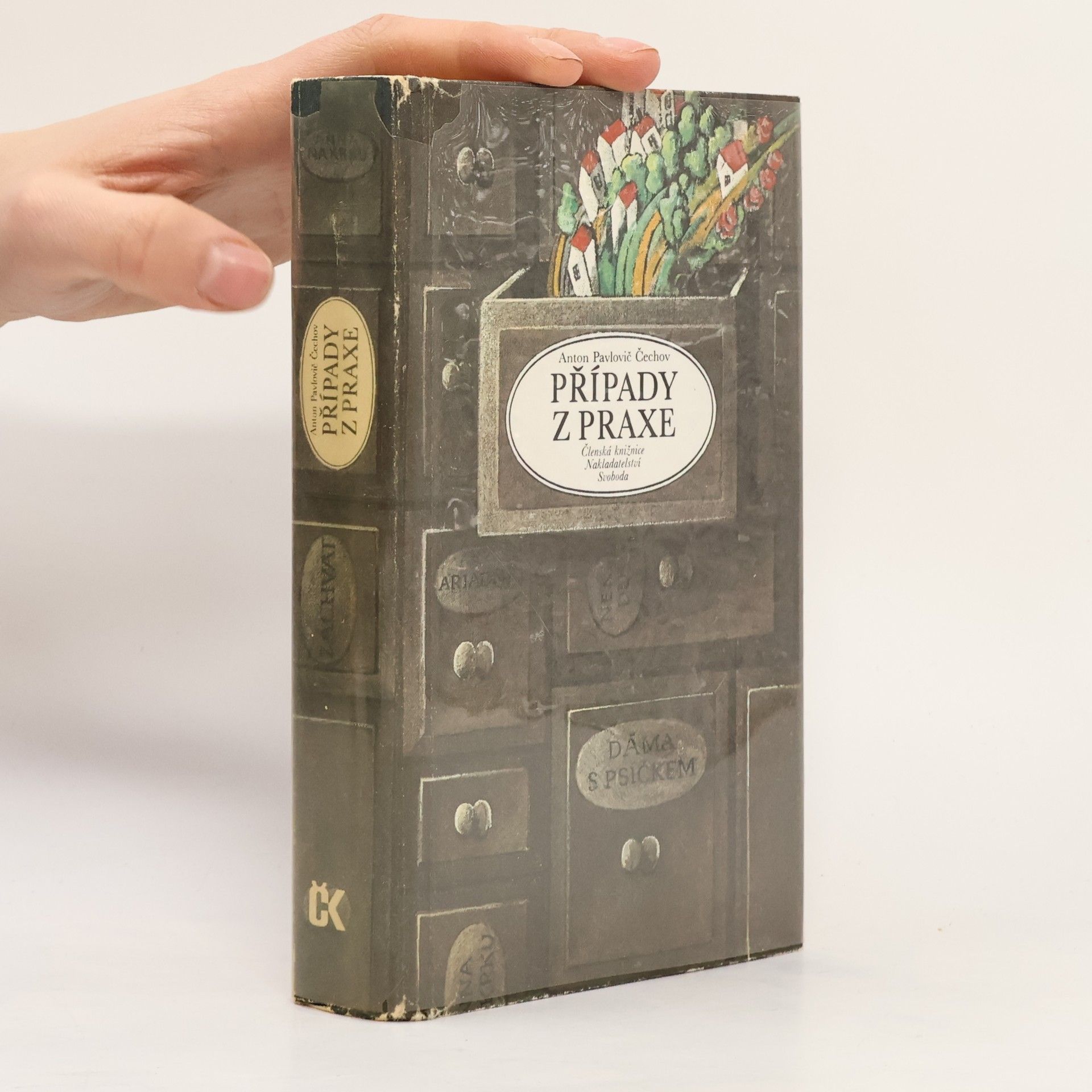 Anton Chekhov Případy z praxe