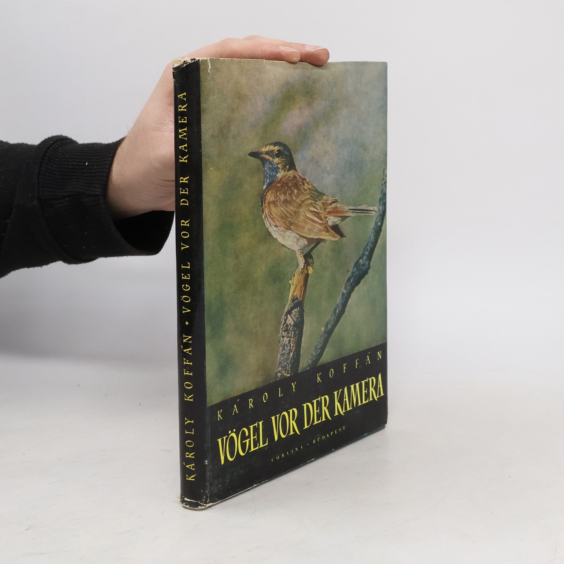 Marcel Verbruggen Vögel vor der Kamera