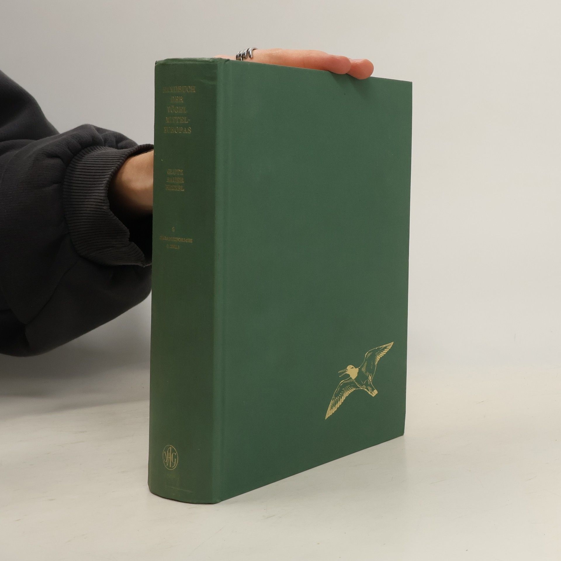 Autorenkollektiv Handbuch der Vögel Mitteleuropas