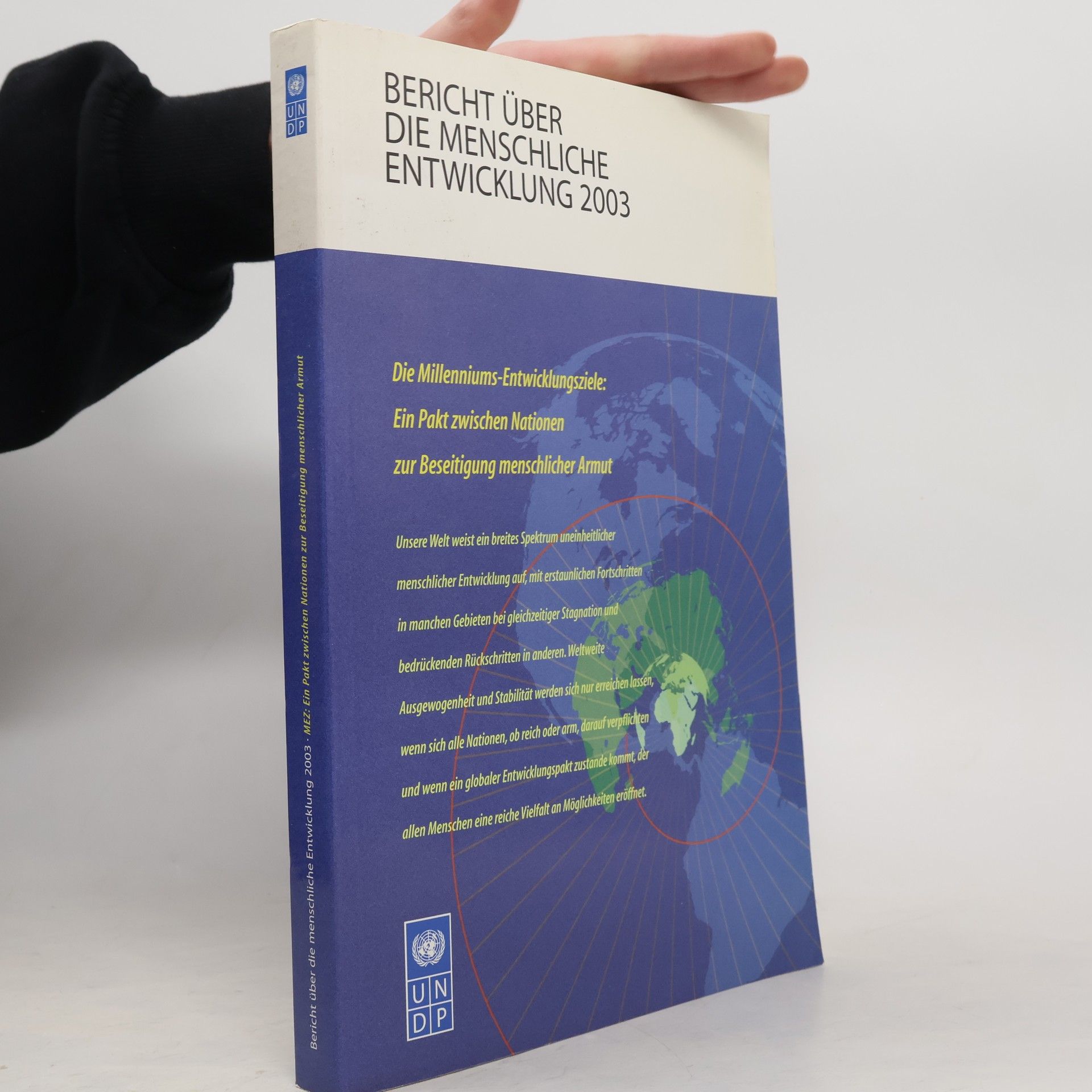 Marlene Kleiner Millenniums-Entwicklungsziele 2003