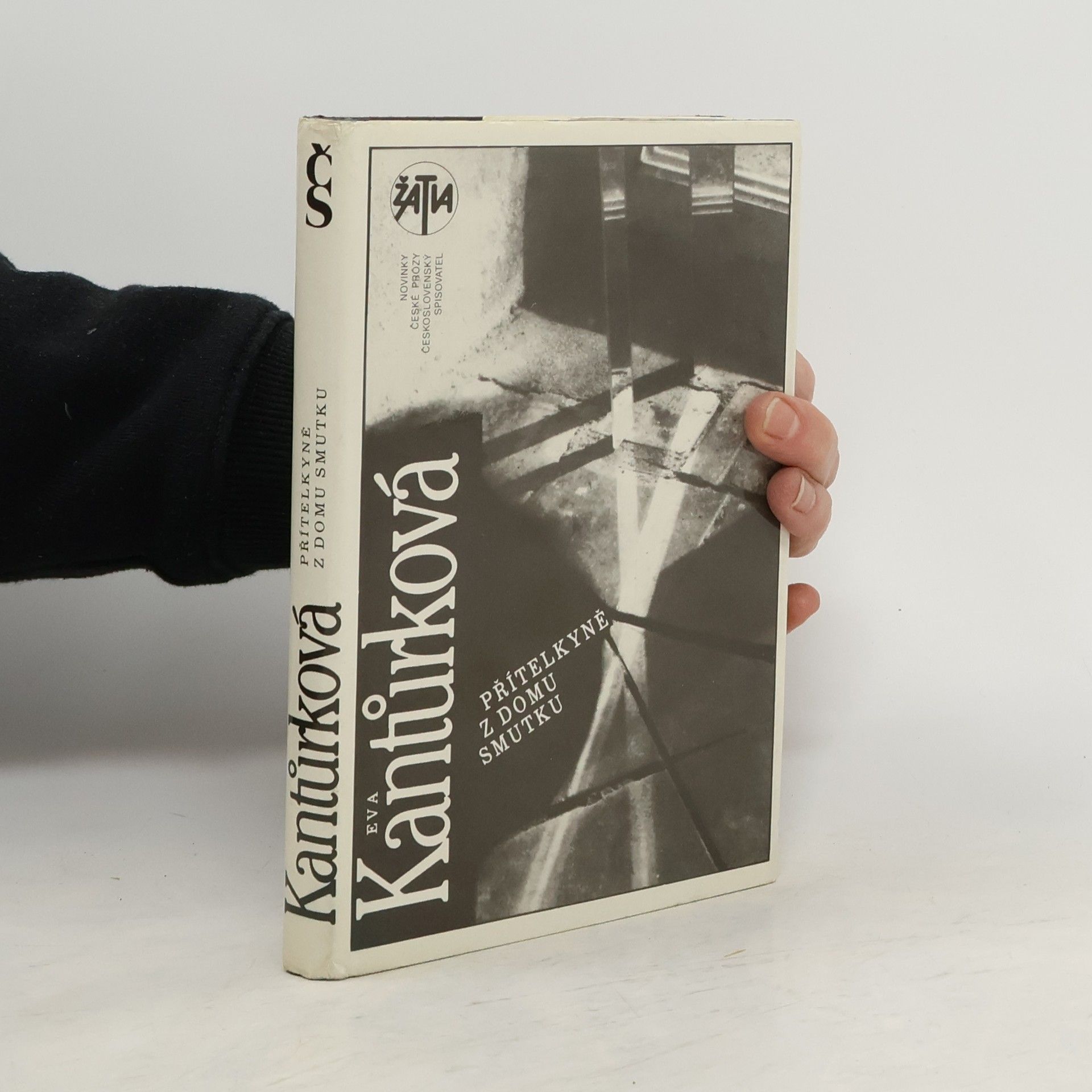 Eva Kantůrková Přítelkyně z domu smutku