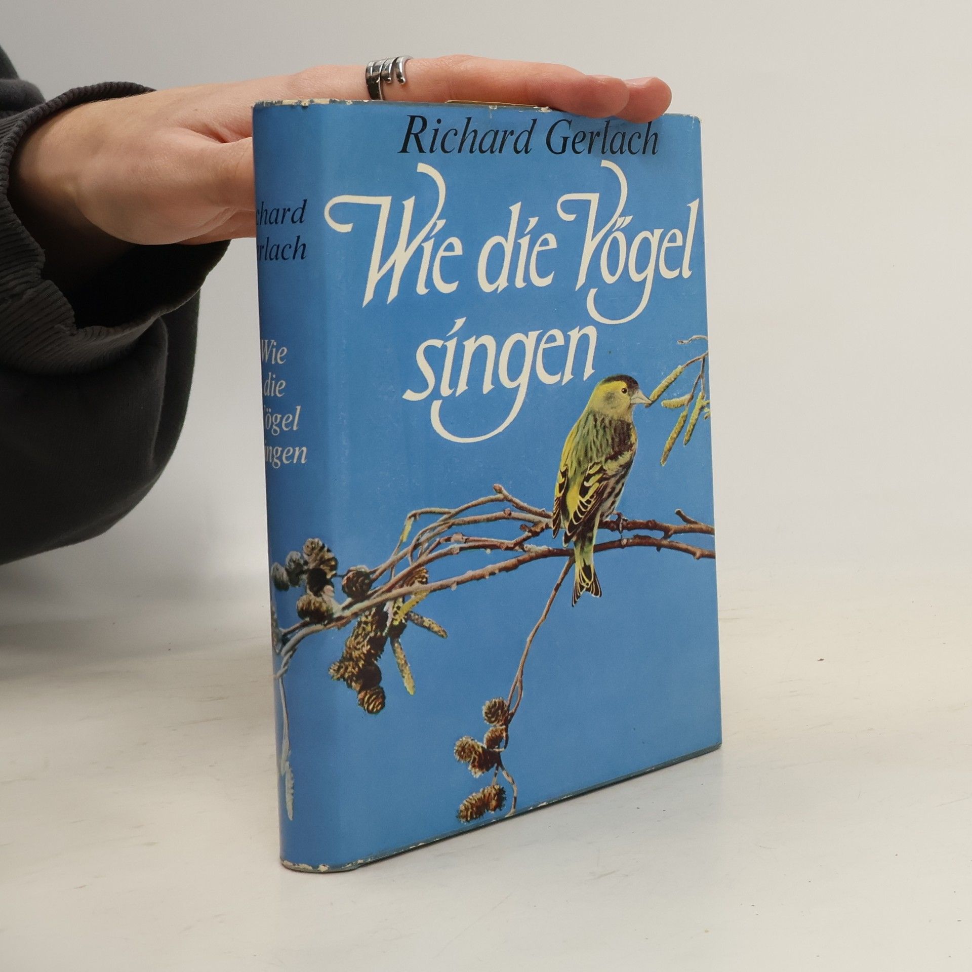 Richard Gerlach Wie die Vögel singen