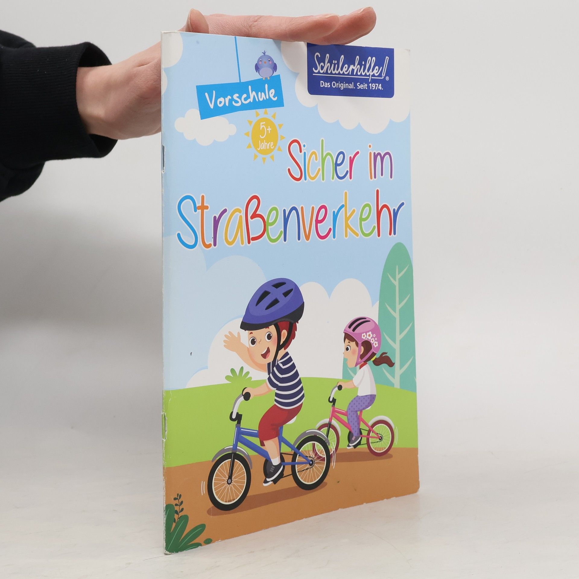 Autorenkollektiv Sicher im Straßenverkehr