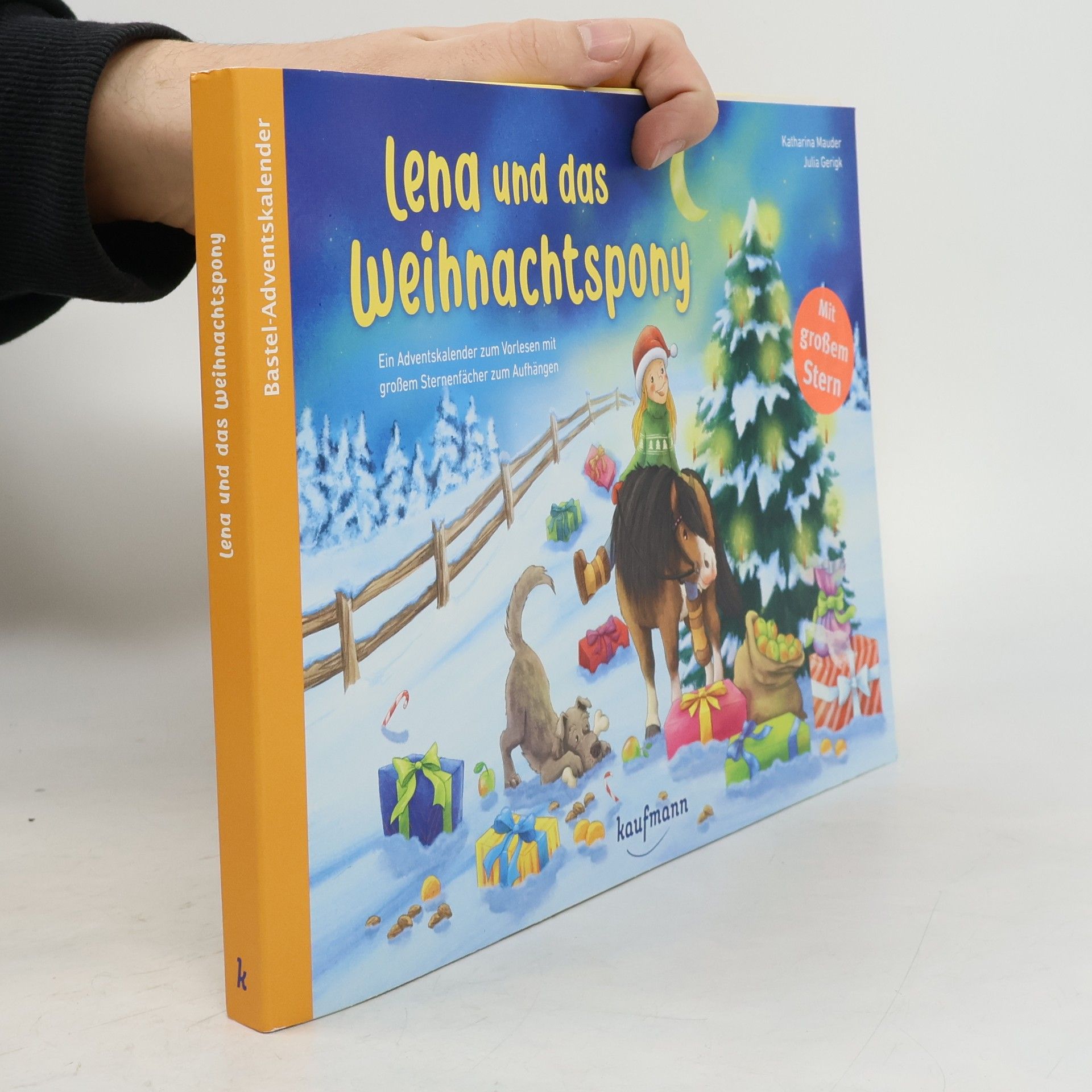 Katharina Mauder Lena und das Weihnachtspony