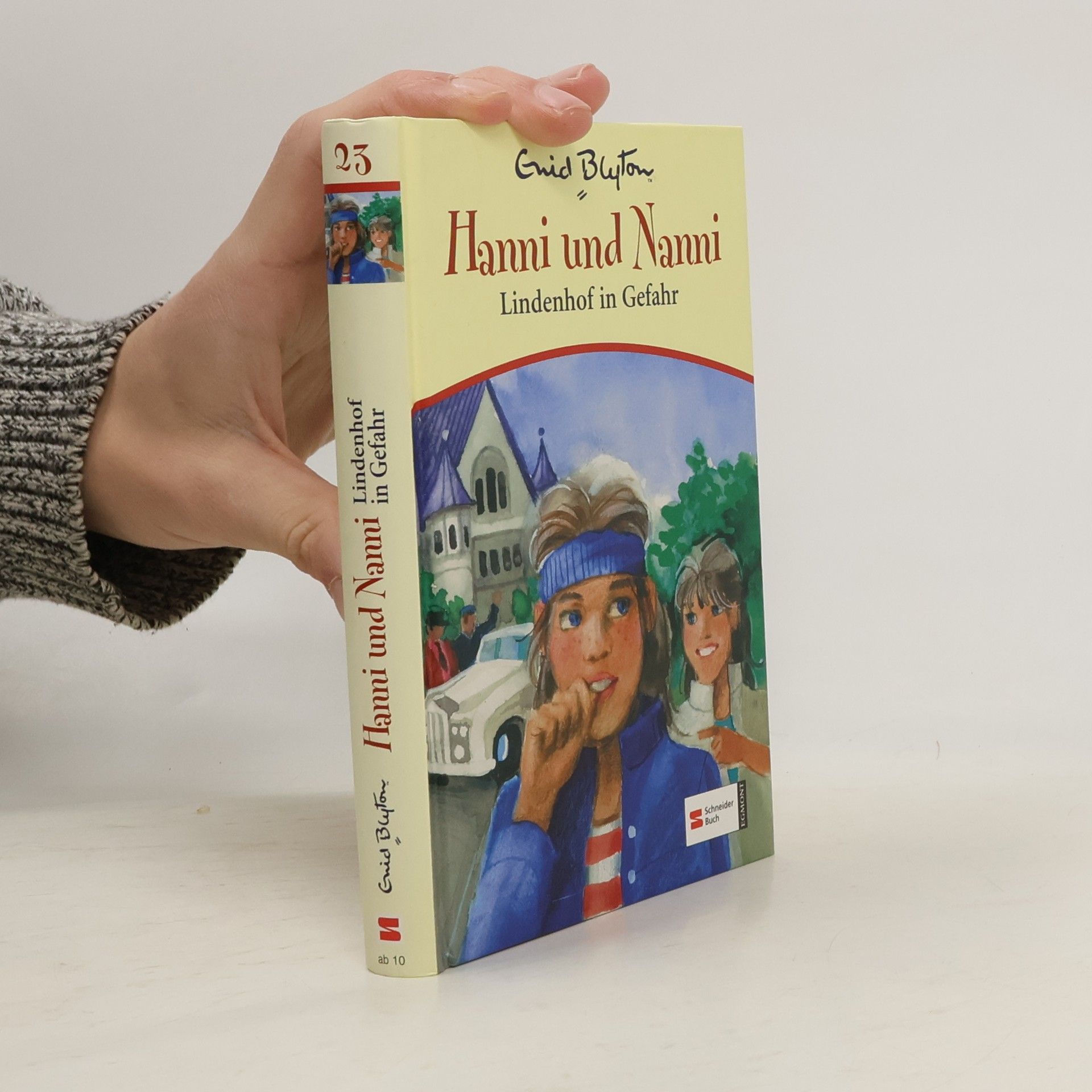 Enid Blyton Hanni und Nanni - Lindenhof in Gefahr
