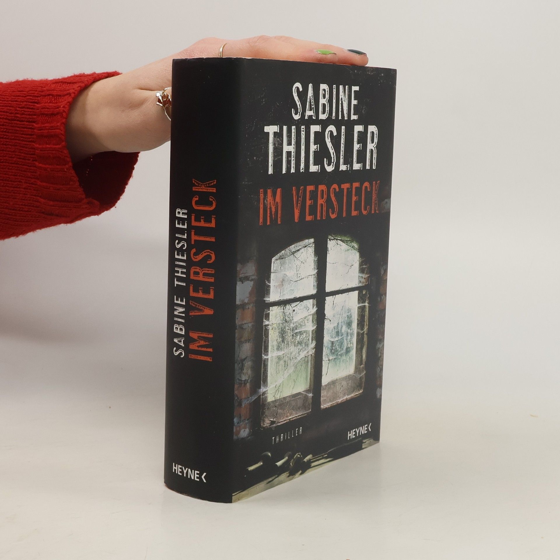 Sabine Thiesler Im Versteck