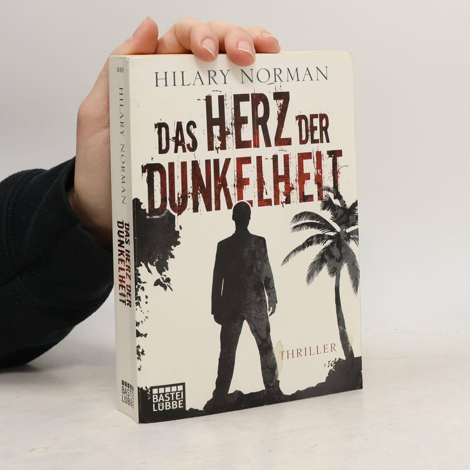 Hilary Norman Das Herz der Dunkelheit