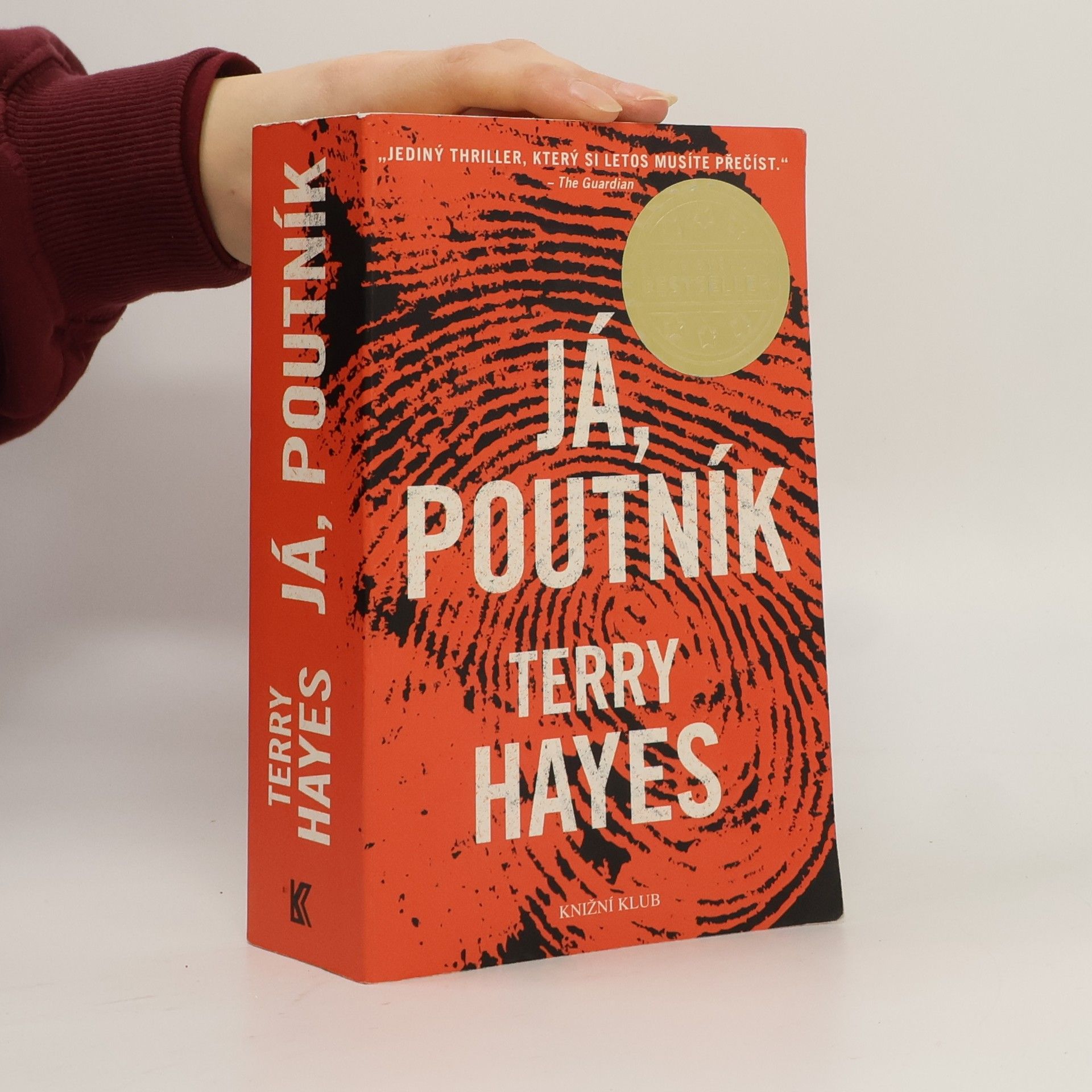 Terry Hayes Já, Poutník