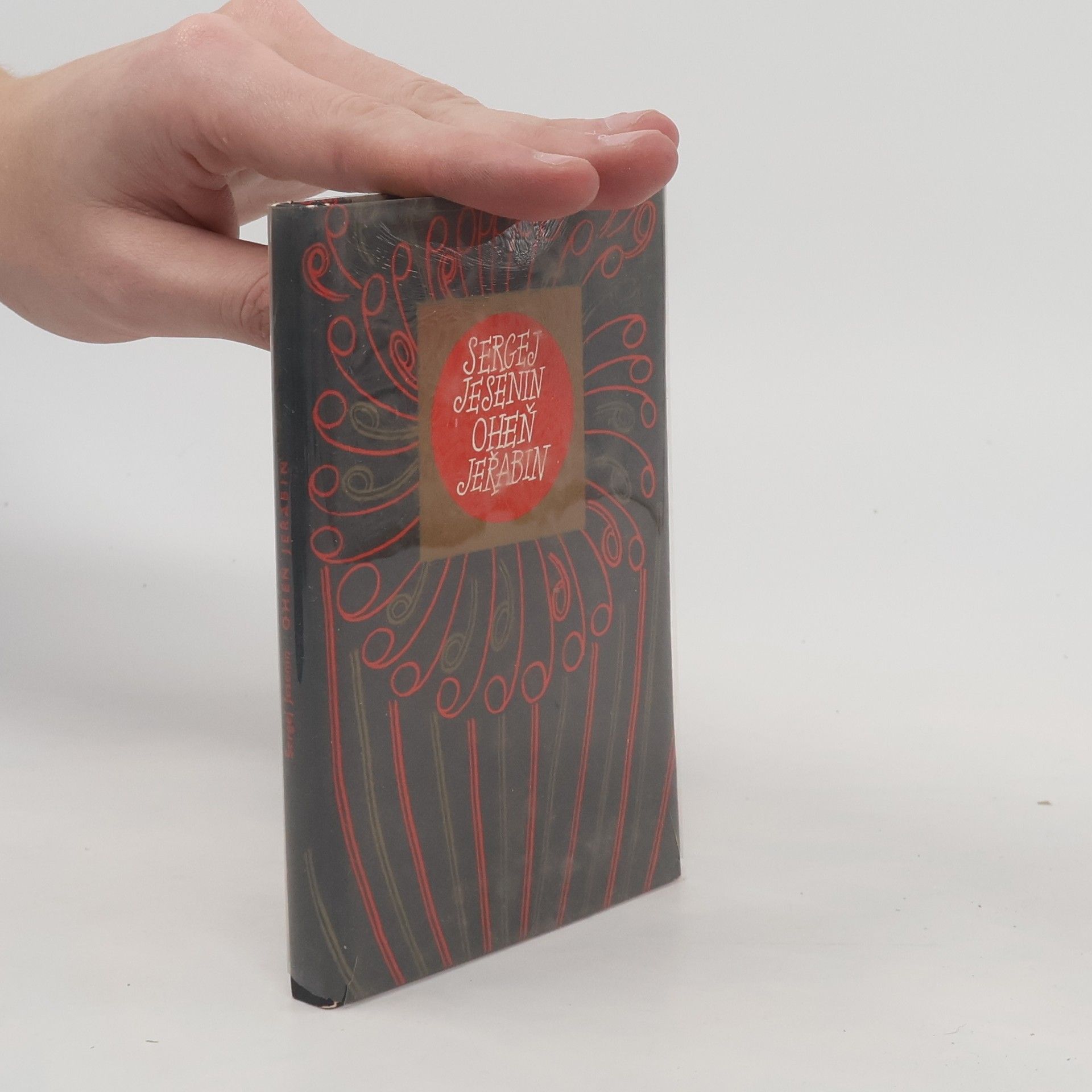 Sergej Aleksandrovič Jesenin Oheň jeřabin