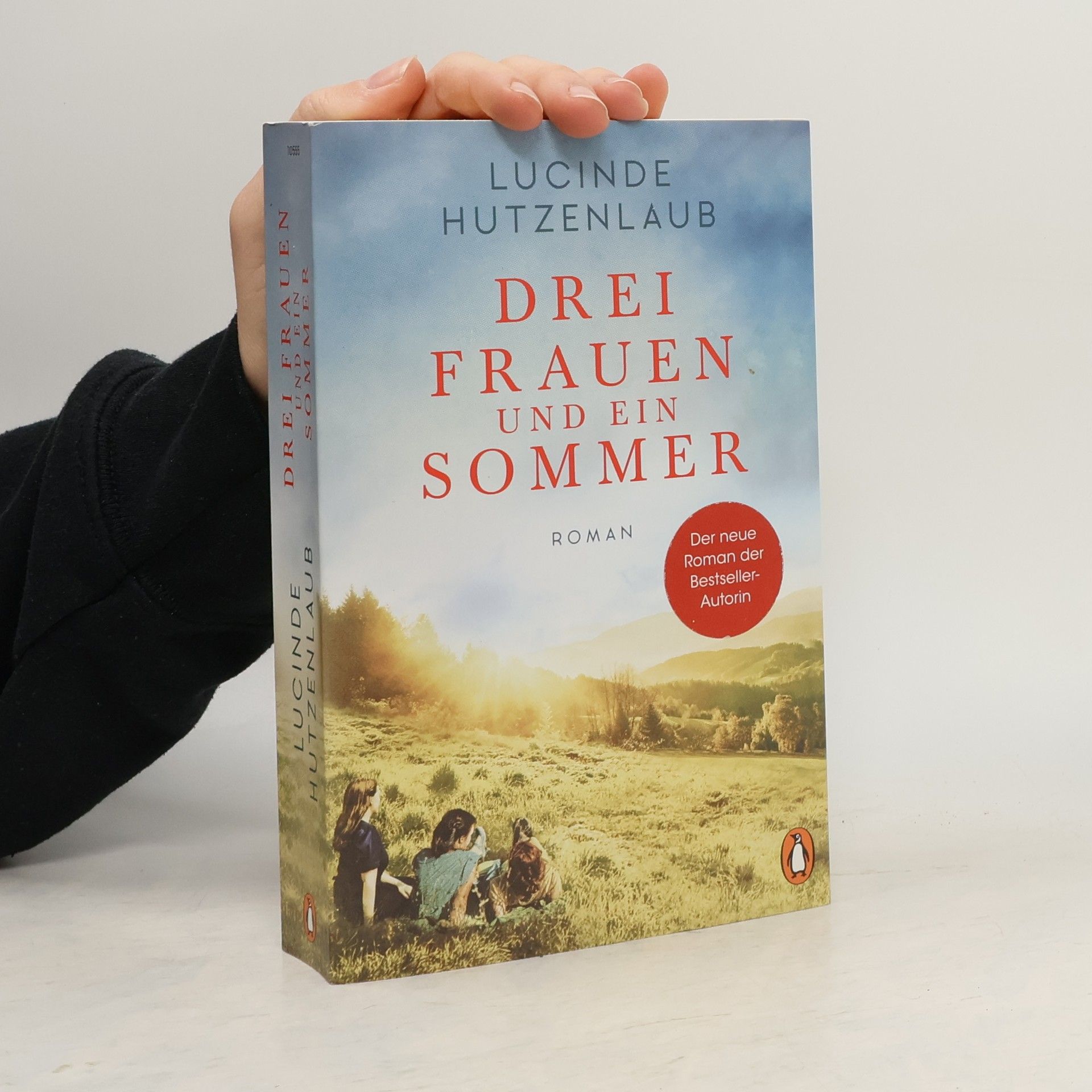 Lucinde Hutzenlaub Drei Frauen und ein Sommer
