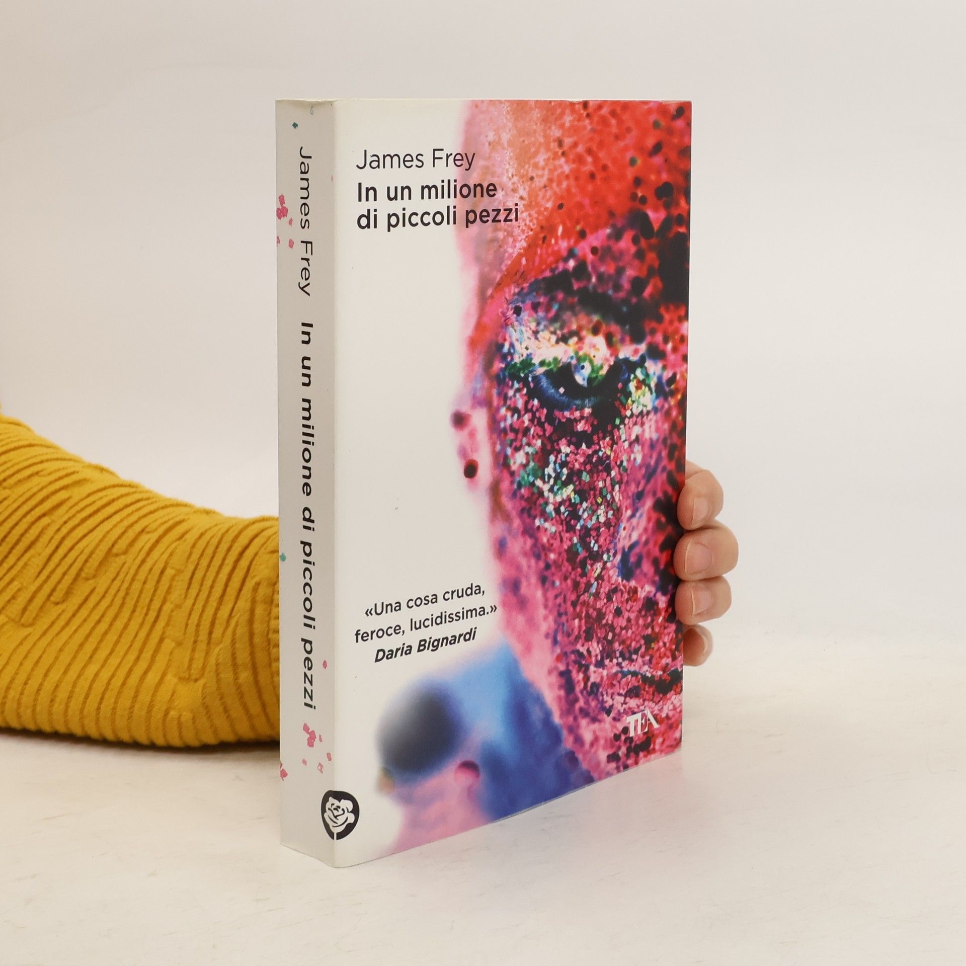 James Frey In un milione di piccoli pezzi