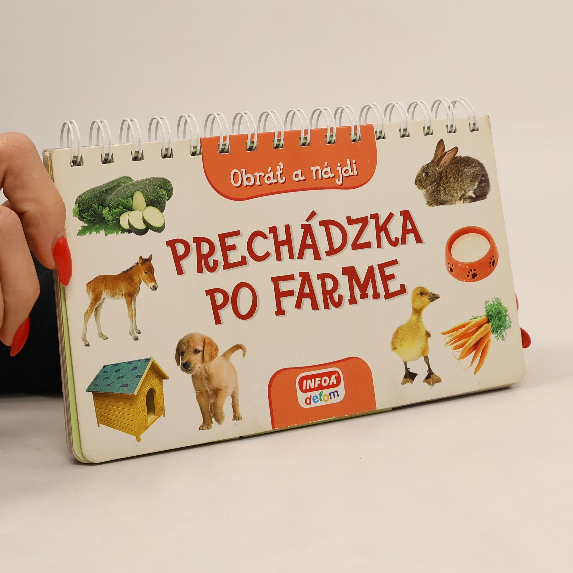 Kolektiv autorů Prechádzka po farme